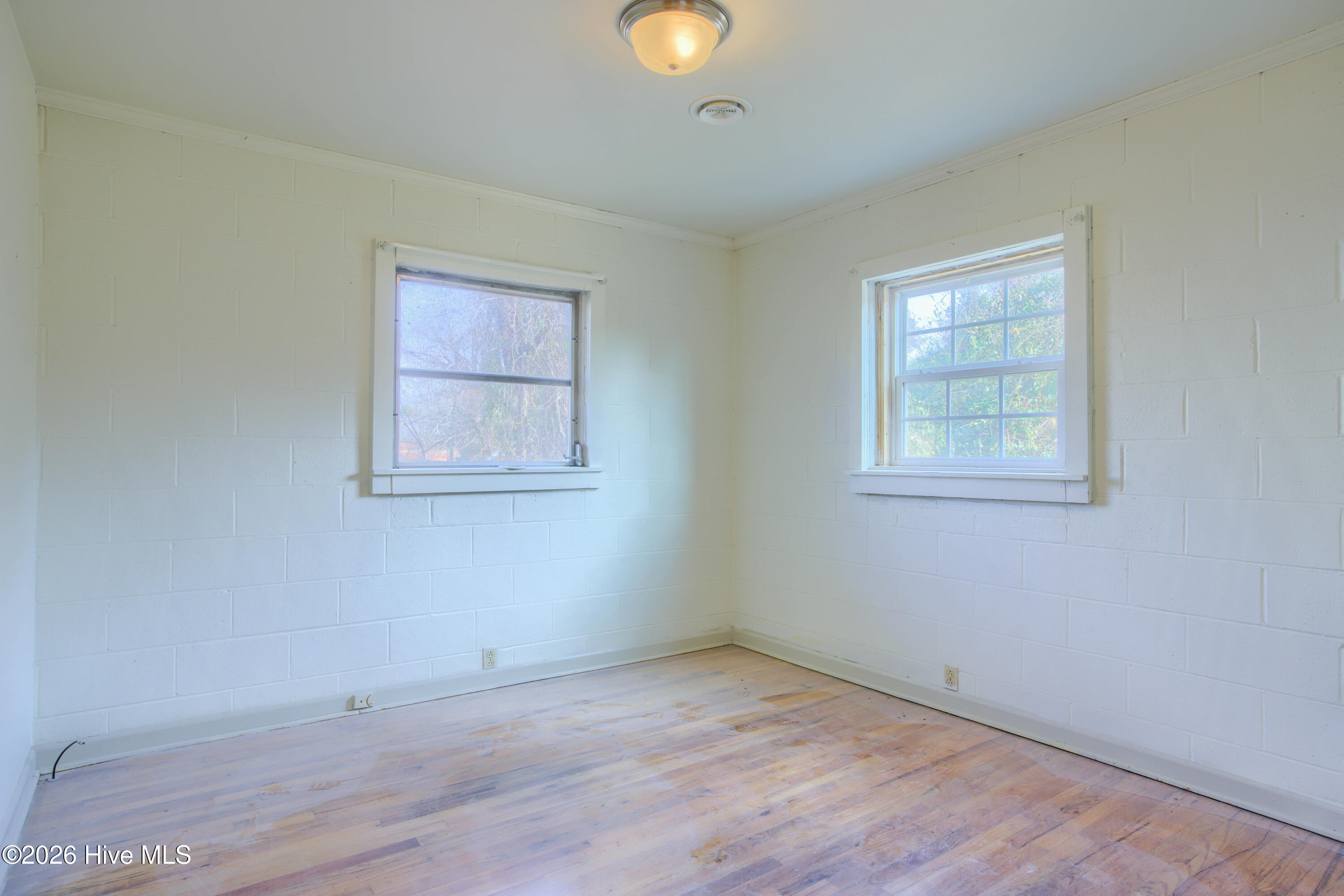 100556576 | Photo 12