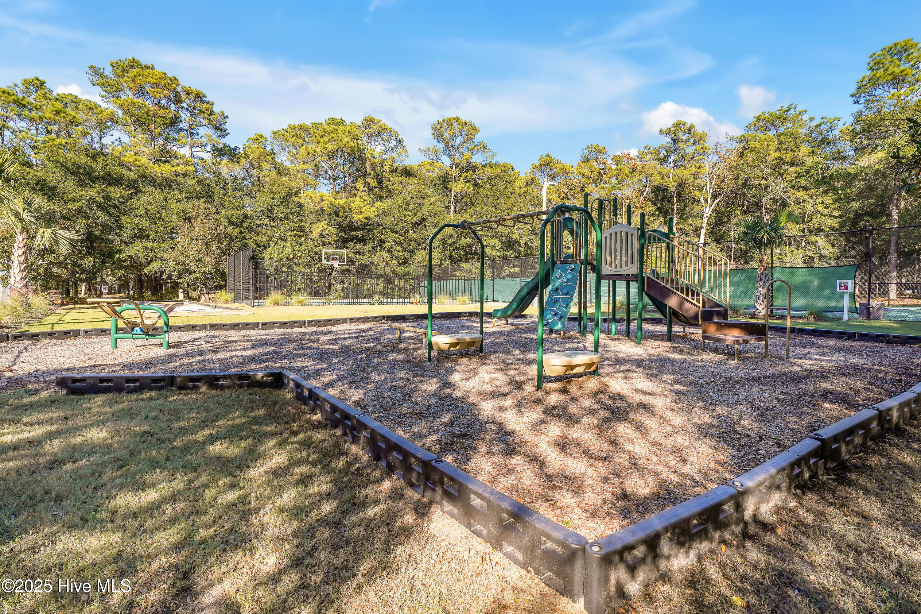 100544315 | Photo 16