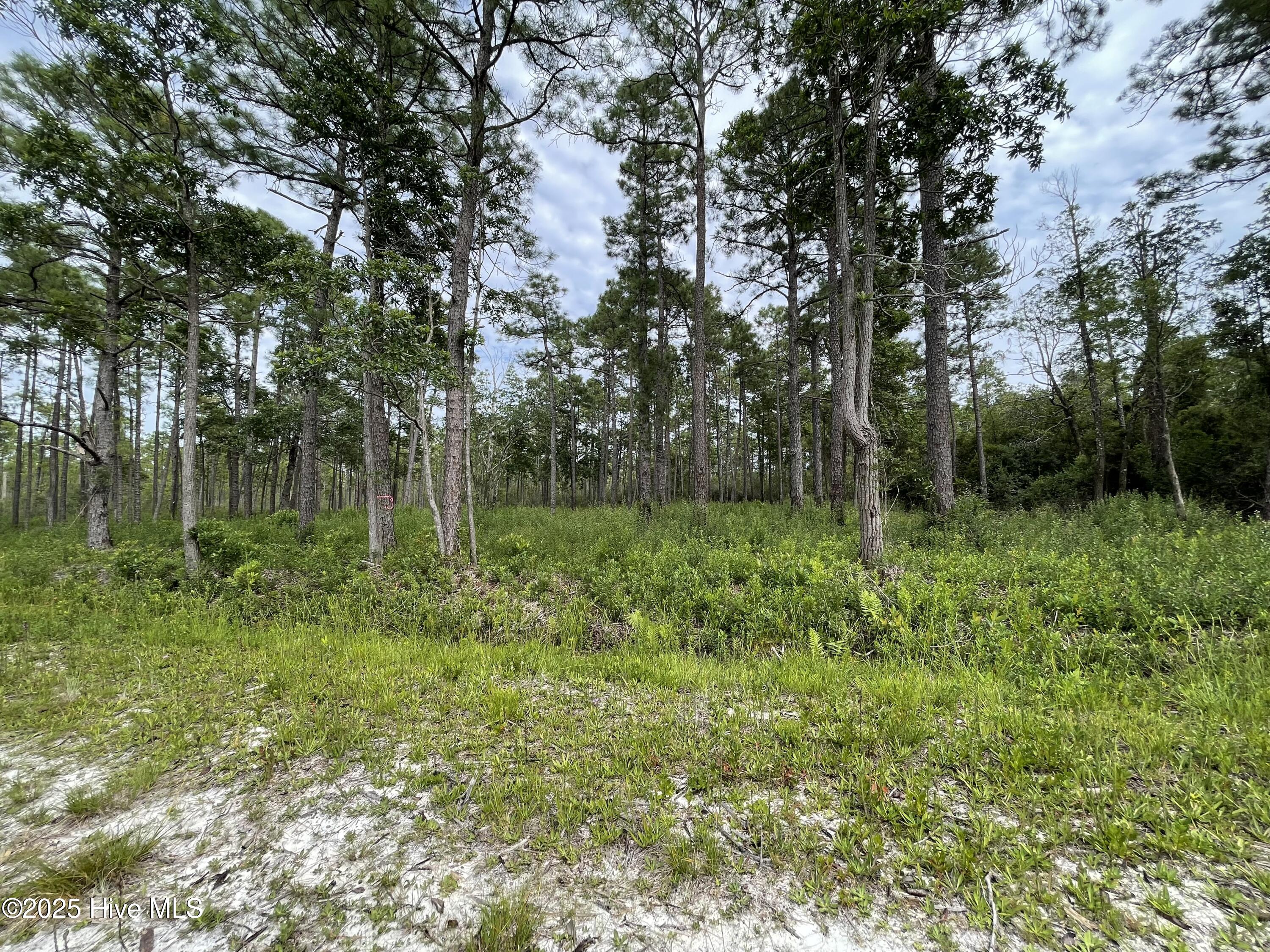 100527891 | Photo 24