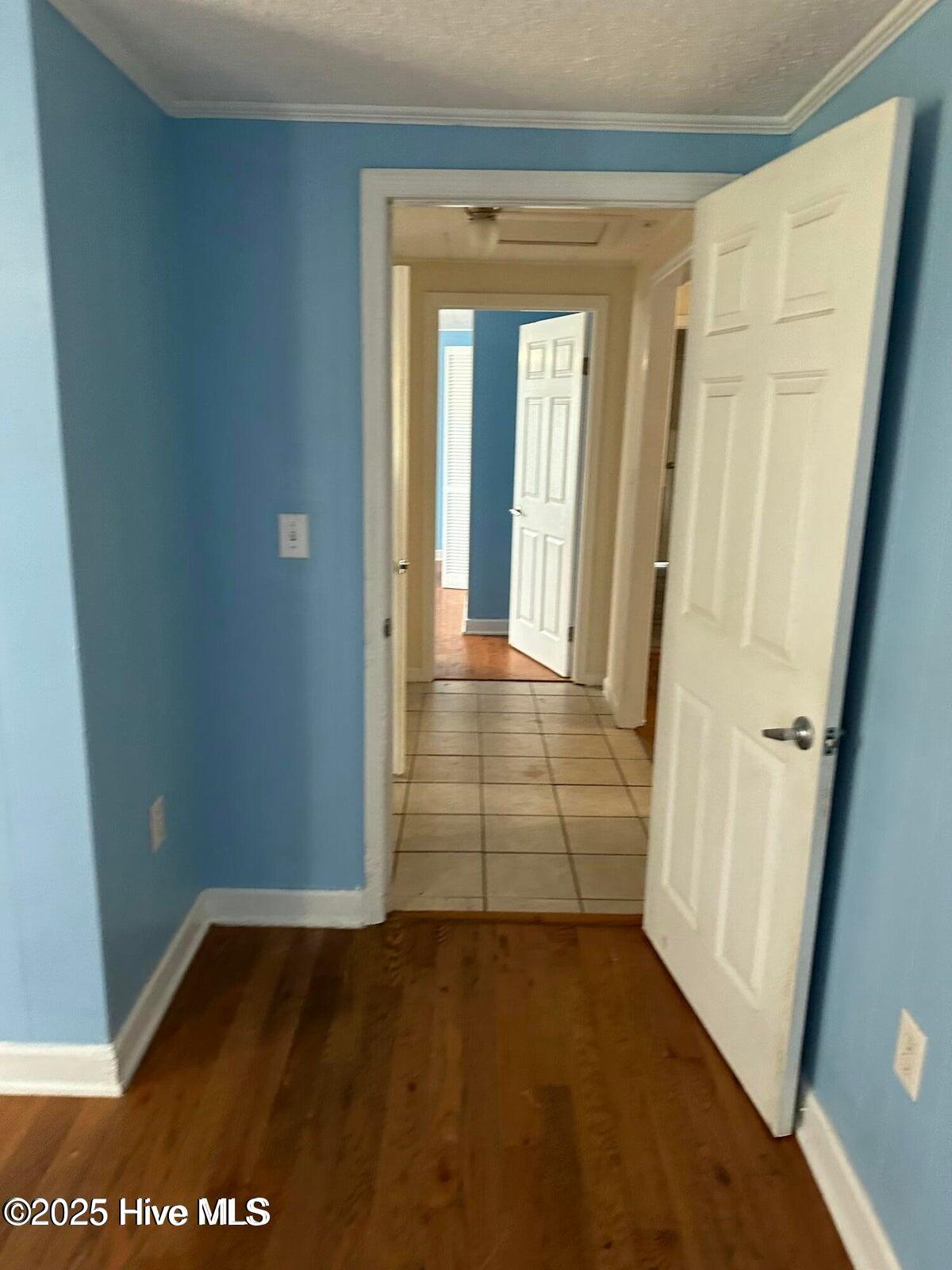 100526094 | Photo 11