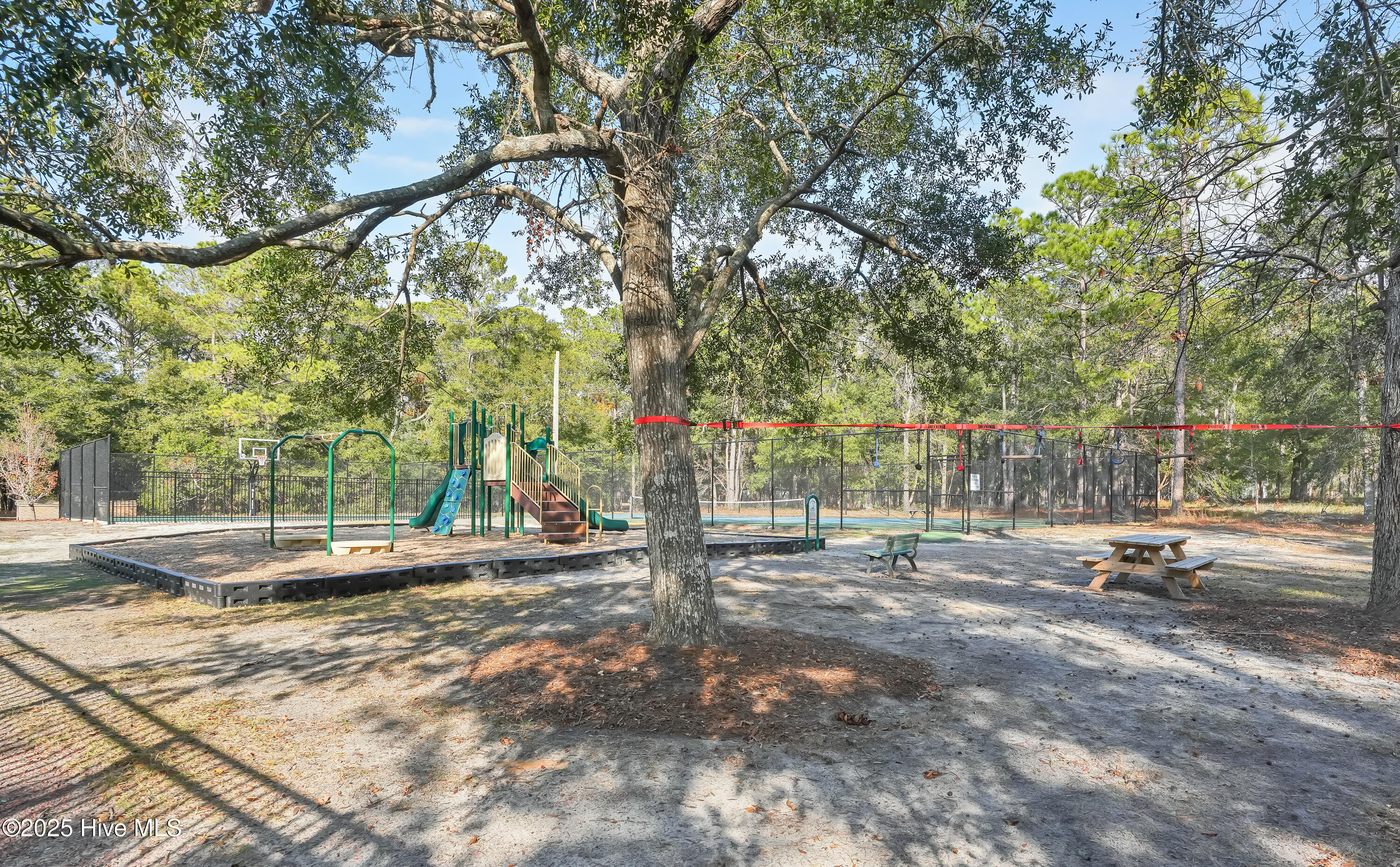 100536639 | Photo 76