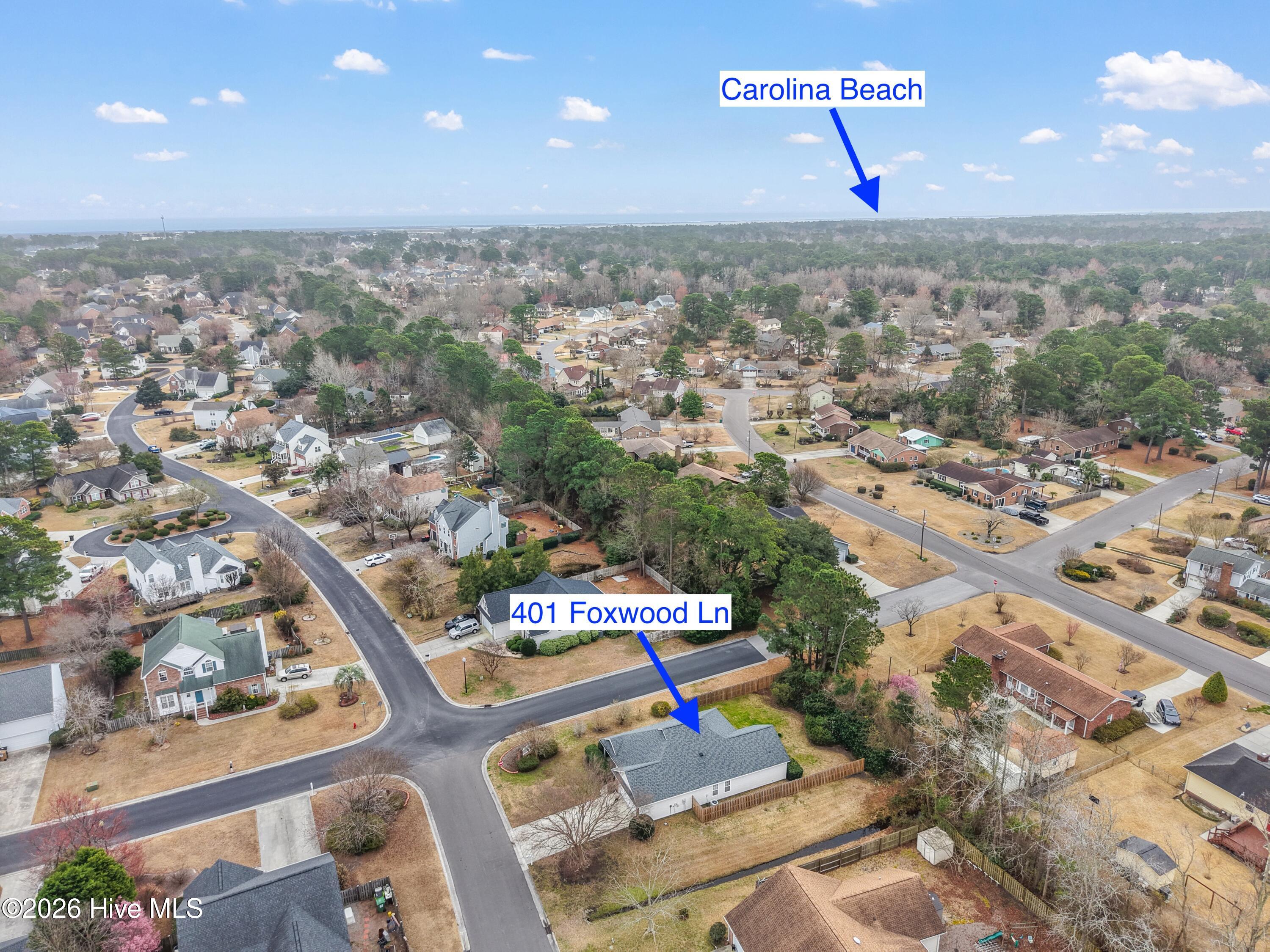 100558212 | Photo 37