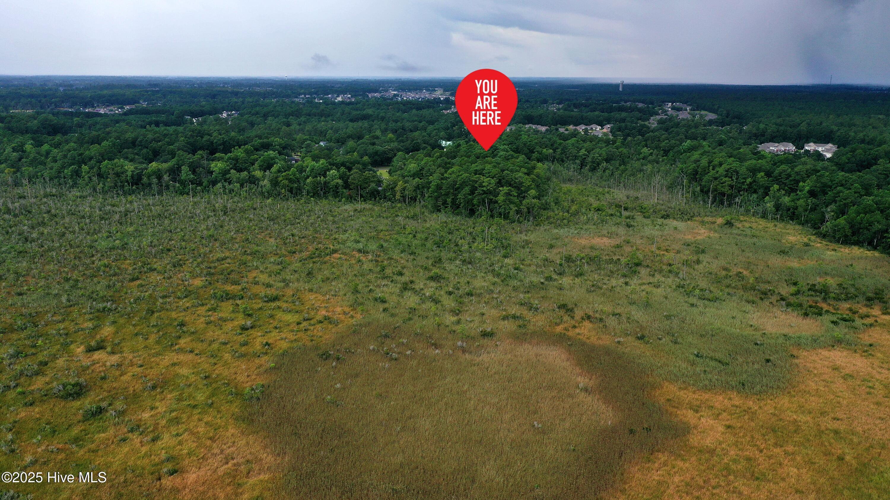 100521403 | Photo 11