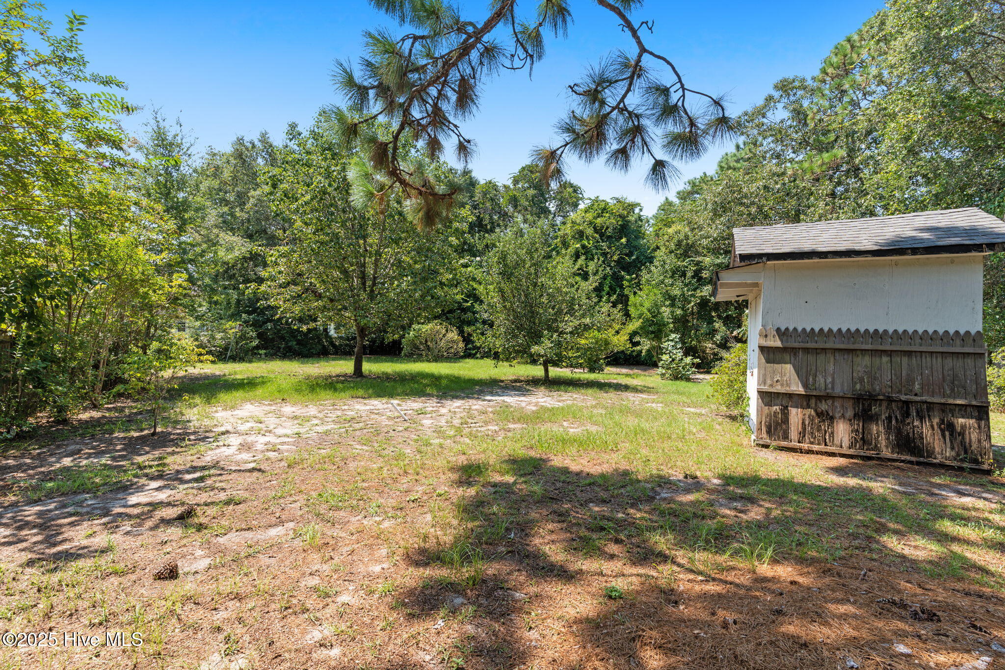 100522413 | Photo 45