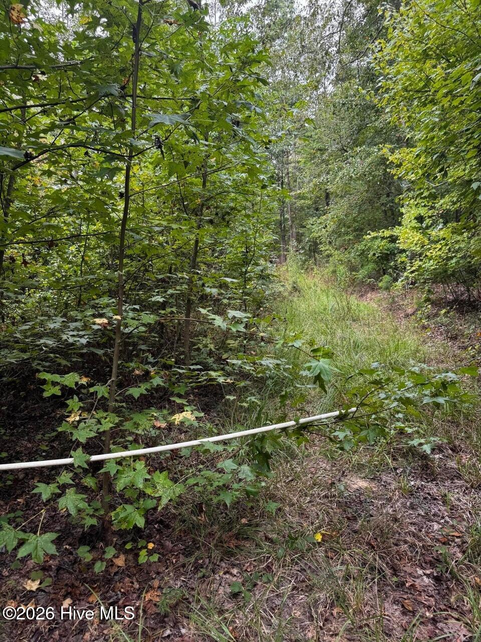 Photo 4 of Land for sale at 00 Gabe Rd, Saluda, SC 29138 | MLS# 100609162 | Listing updated on 2026-10-08