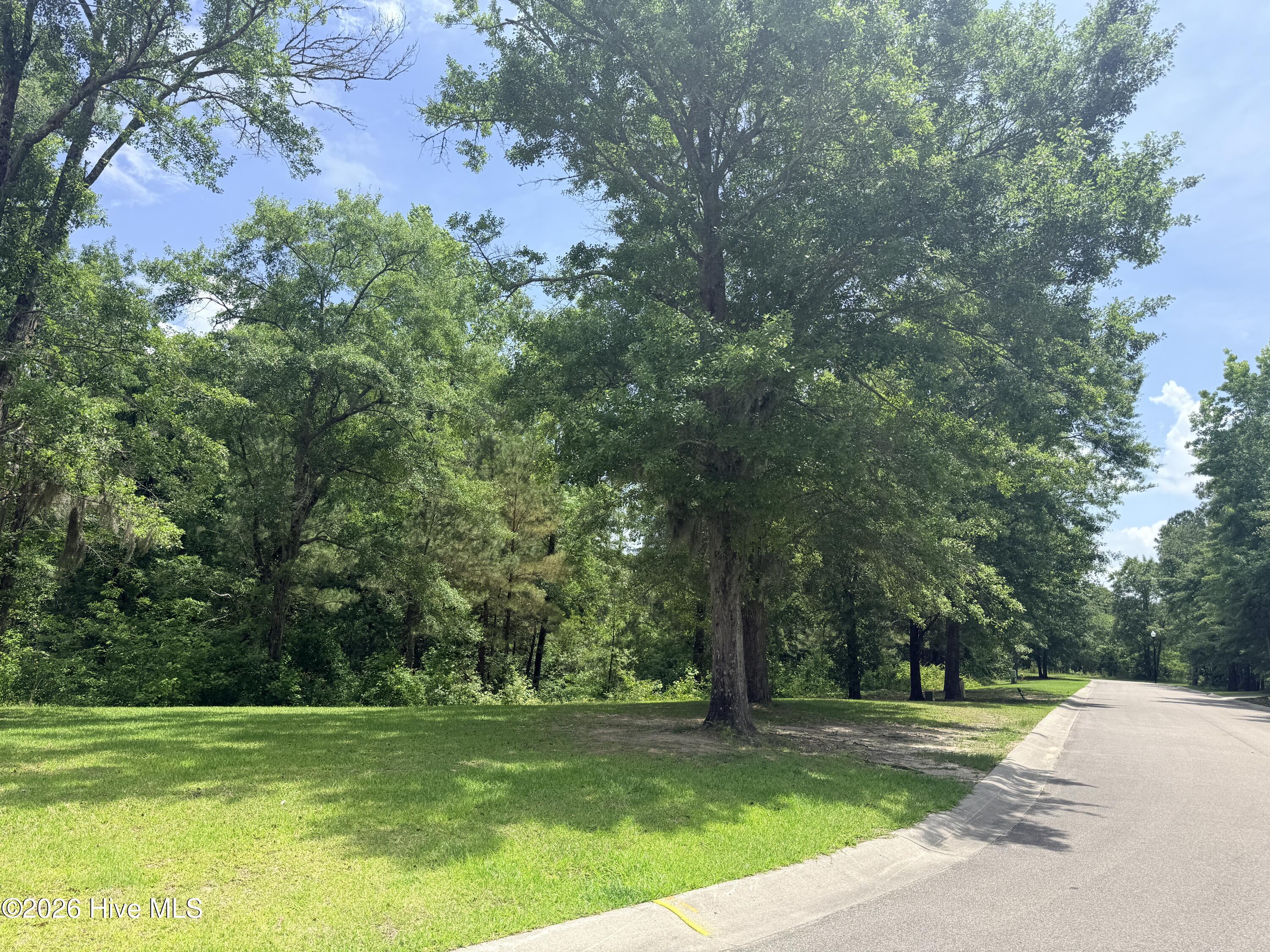 Shirley Johnson - MLS Number: 100399214