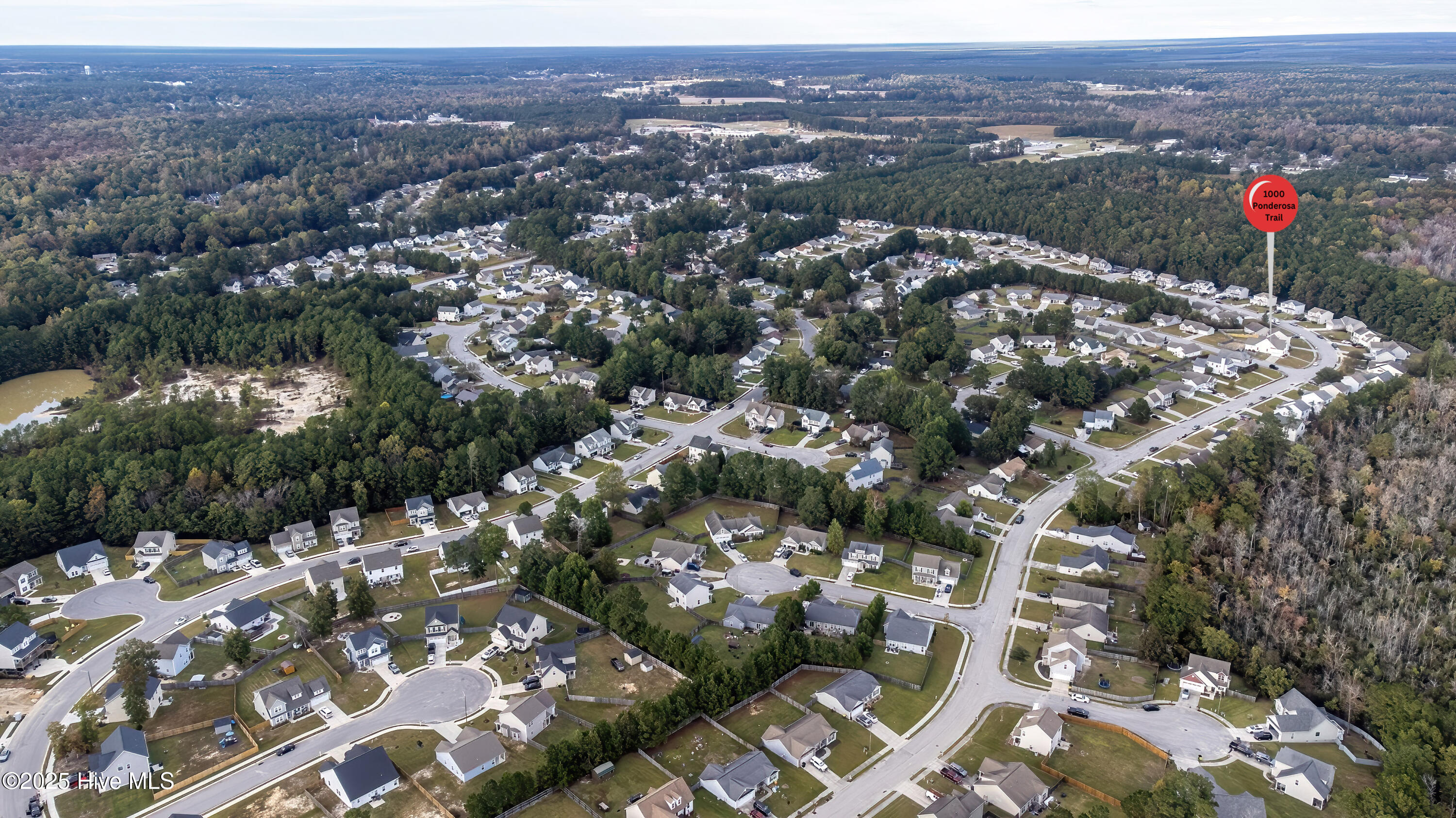 100539008 | Photo 79