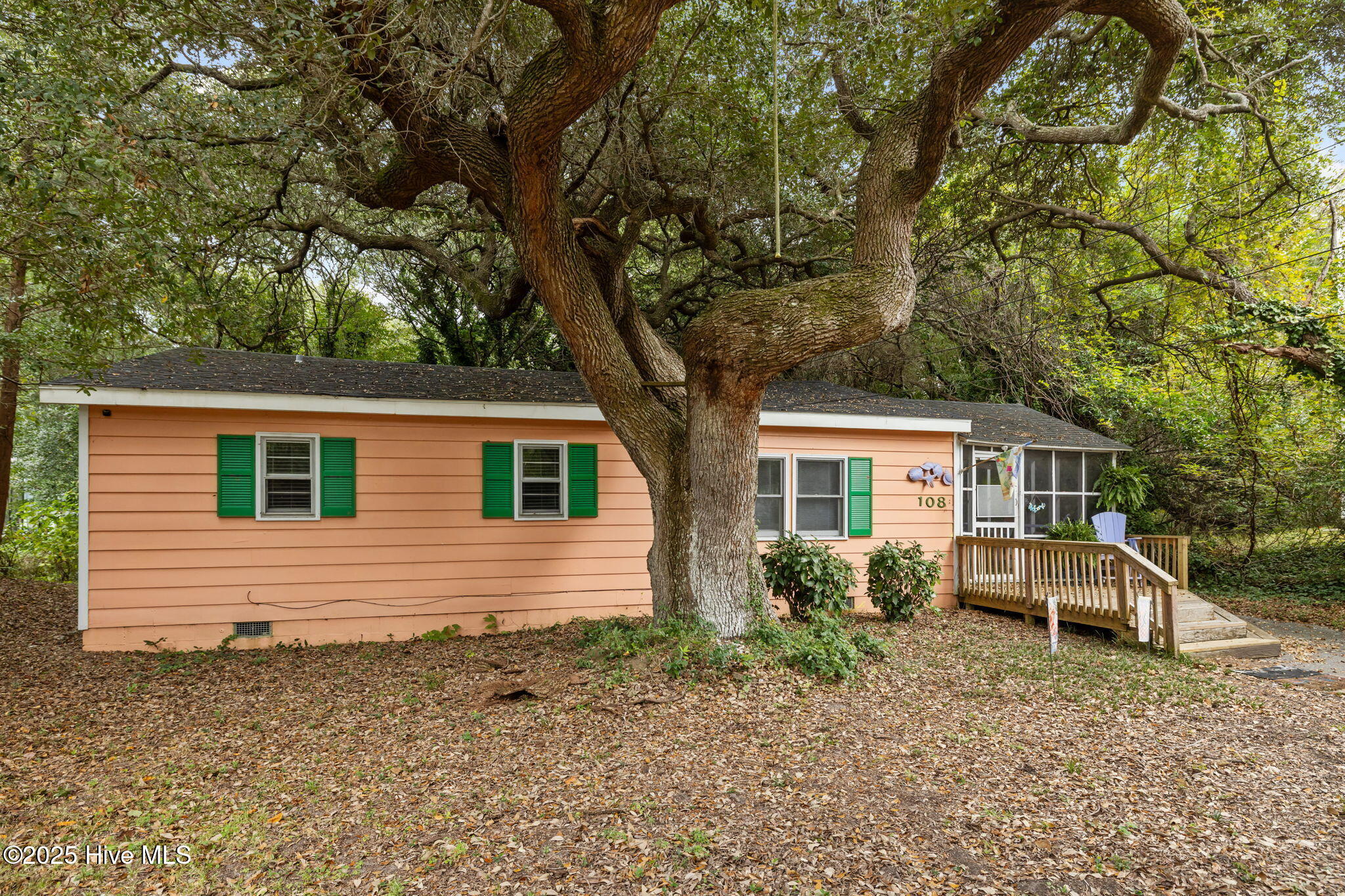 100535776 | Photo 36