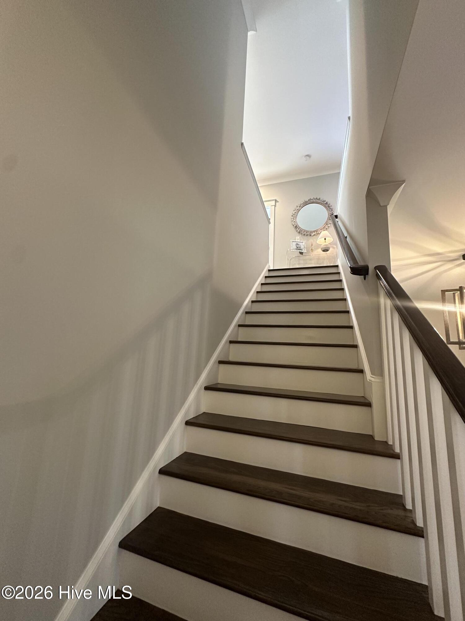 100562108 | Photo 20