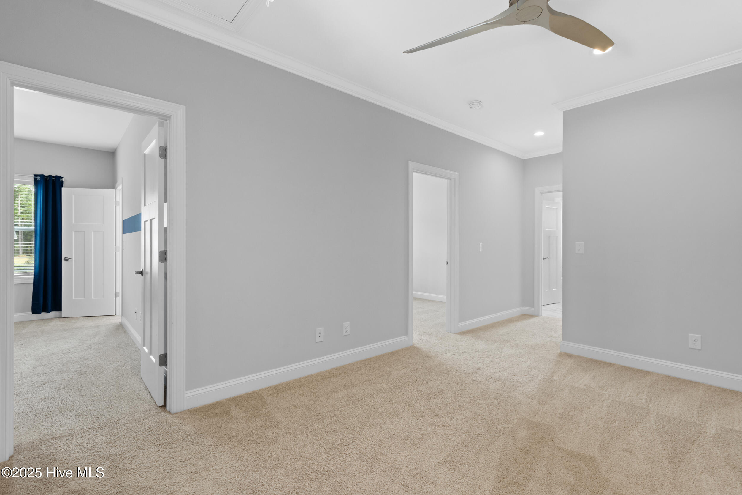 100536261 | Photo 23