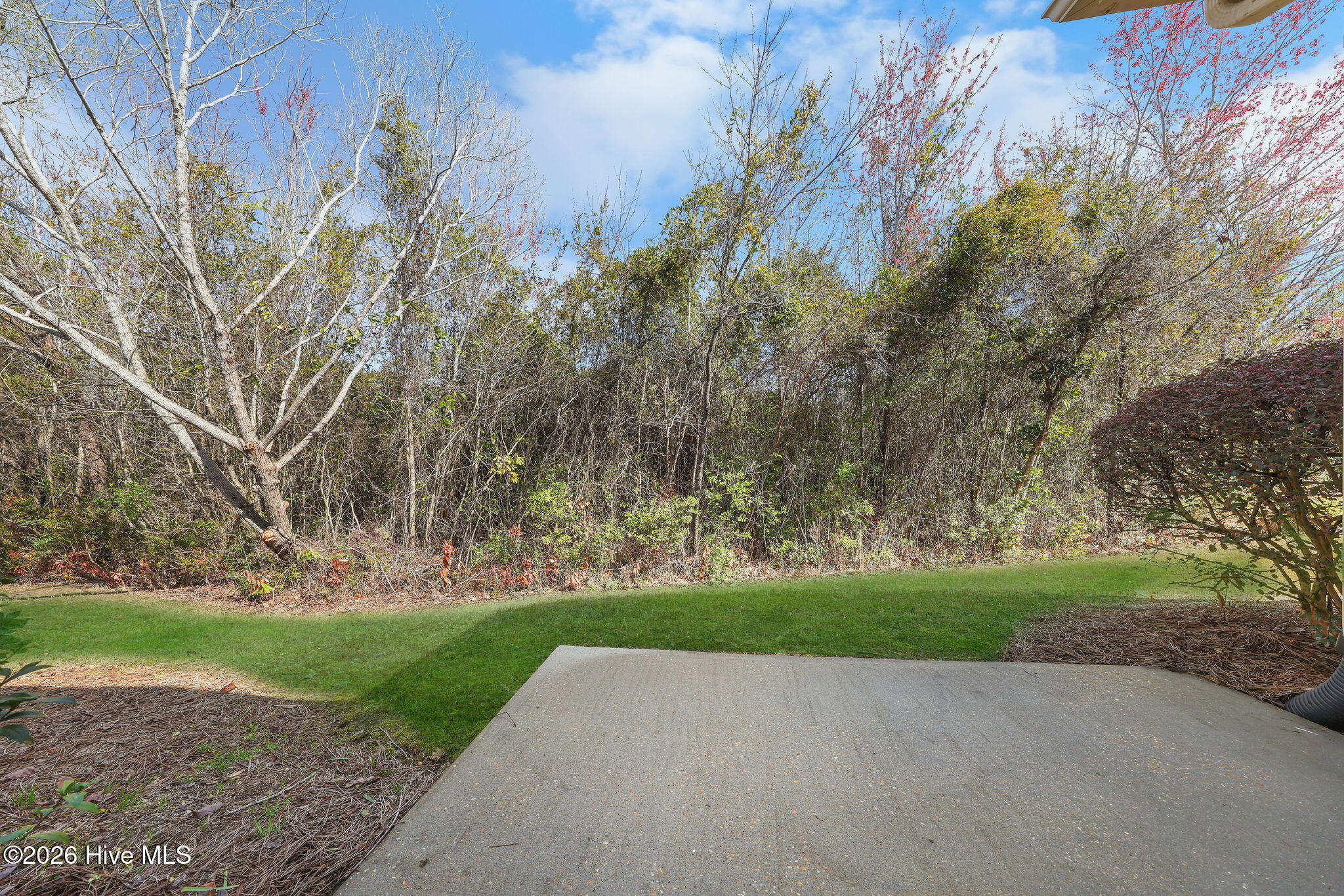 100565690 | Photo 44