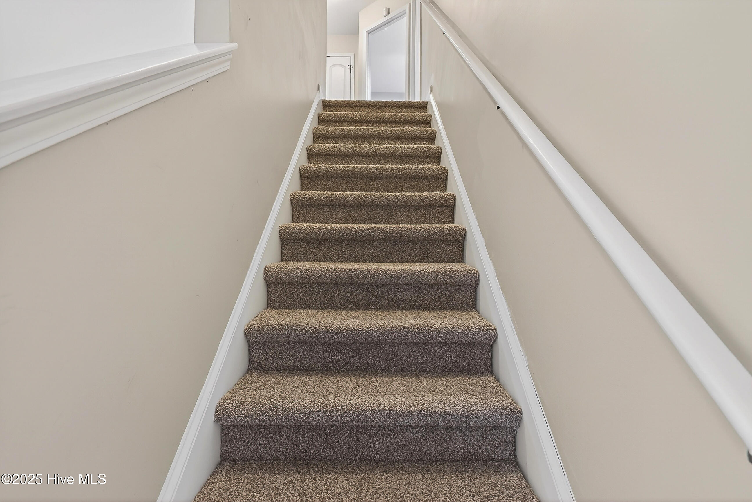 100546178 | Photo 15