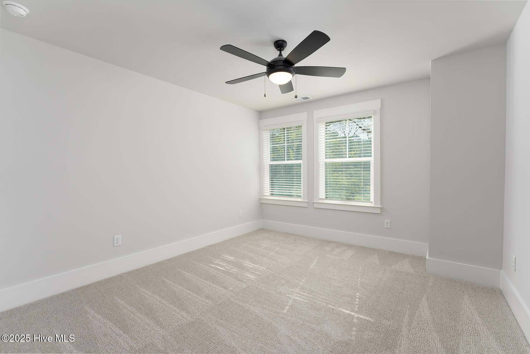 100506459 | Photo 22