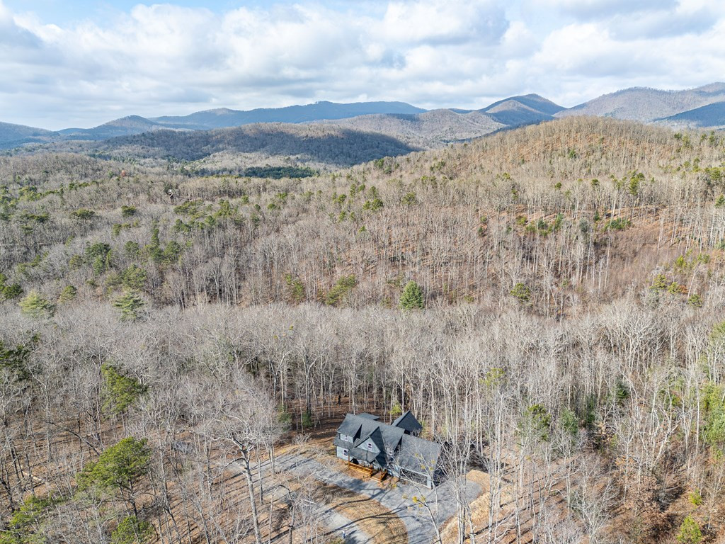 318 Tracks Hollow, Murphy, NC 28906 Listing Photo  51