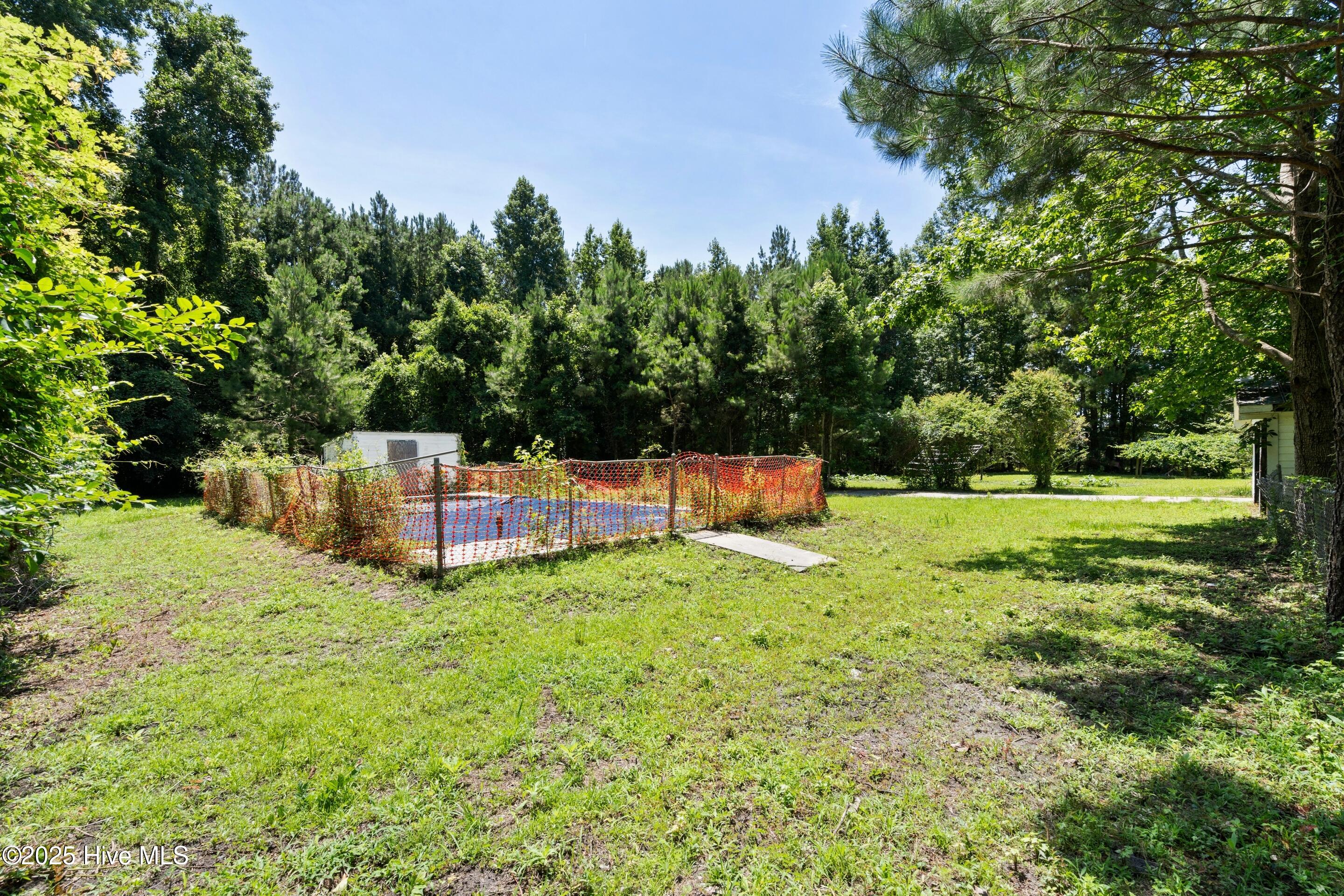 100513299 | Photo 43