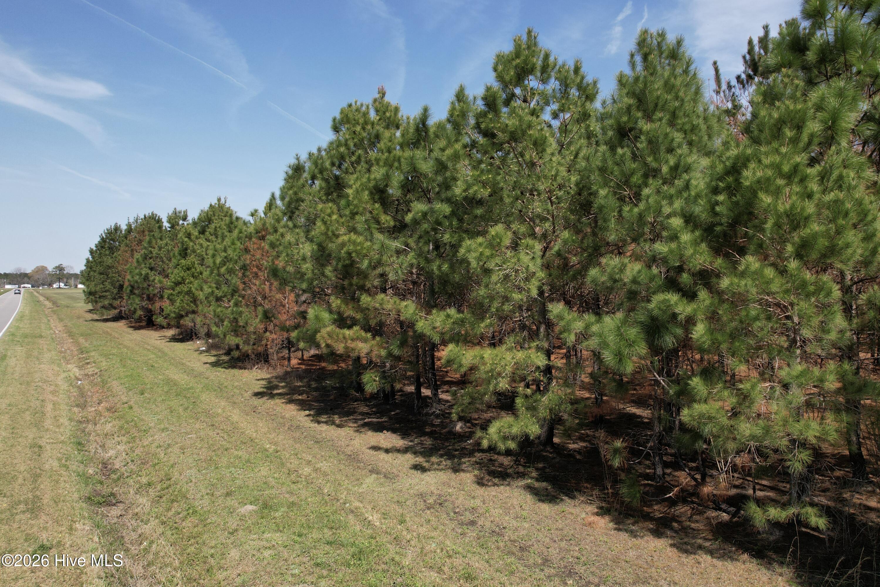 100560557 | Photo 23