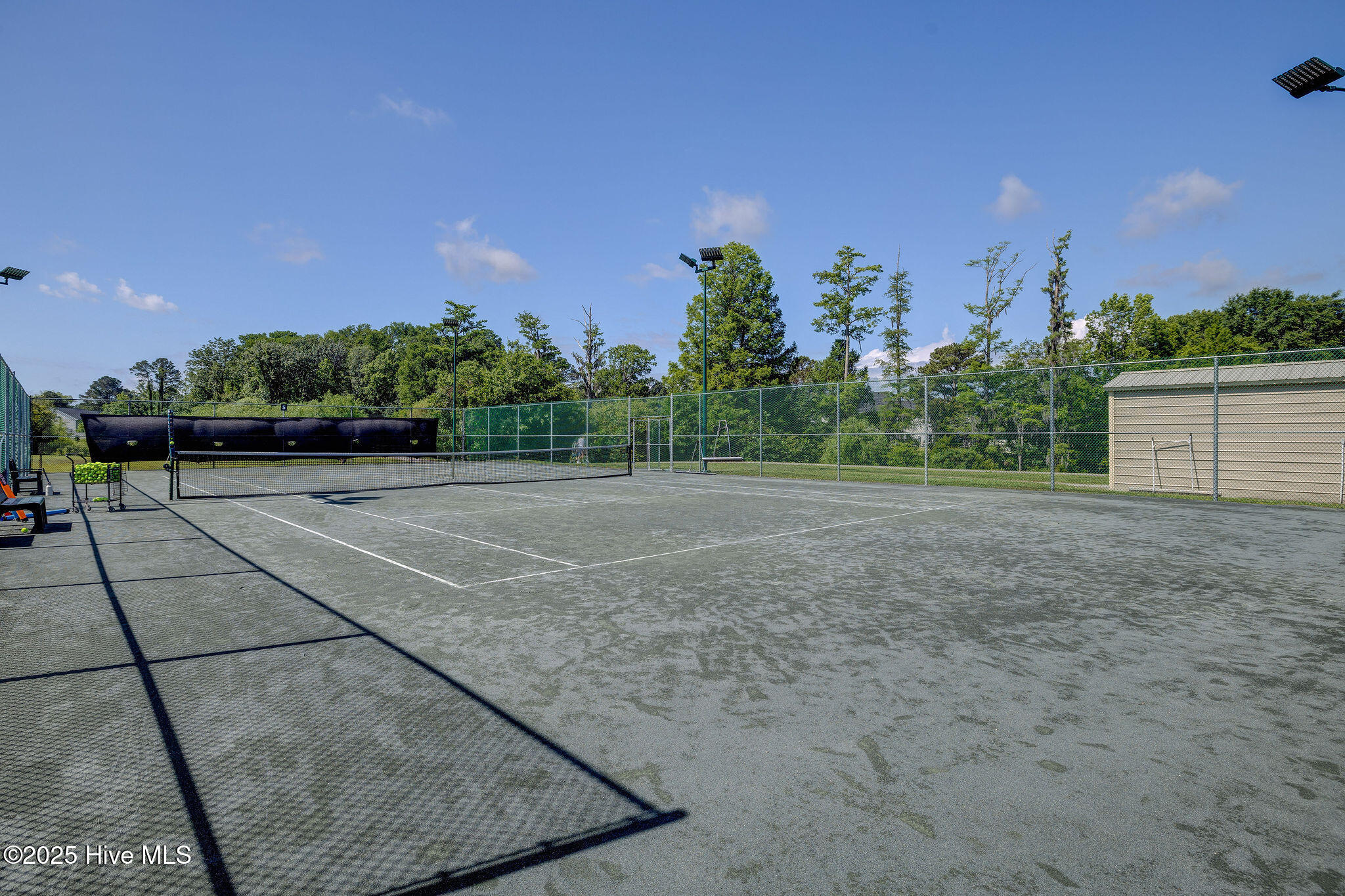 100538895 | Photo 54