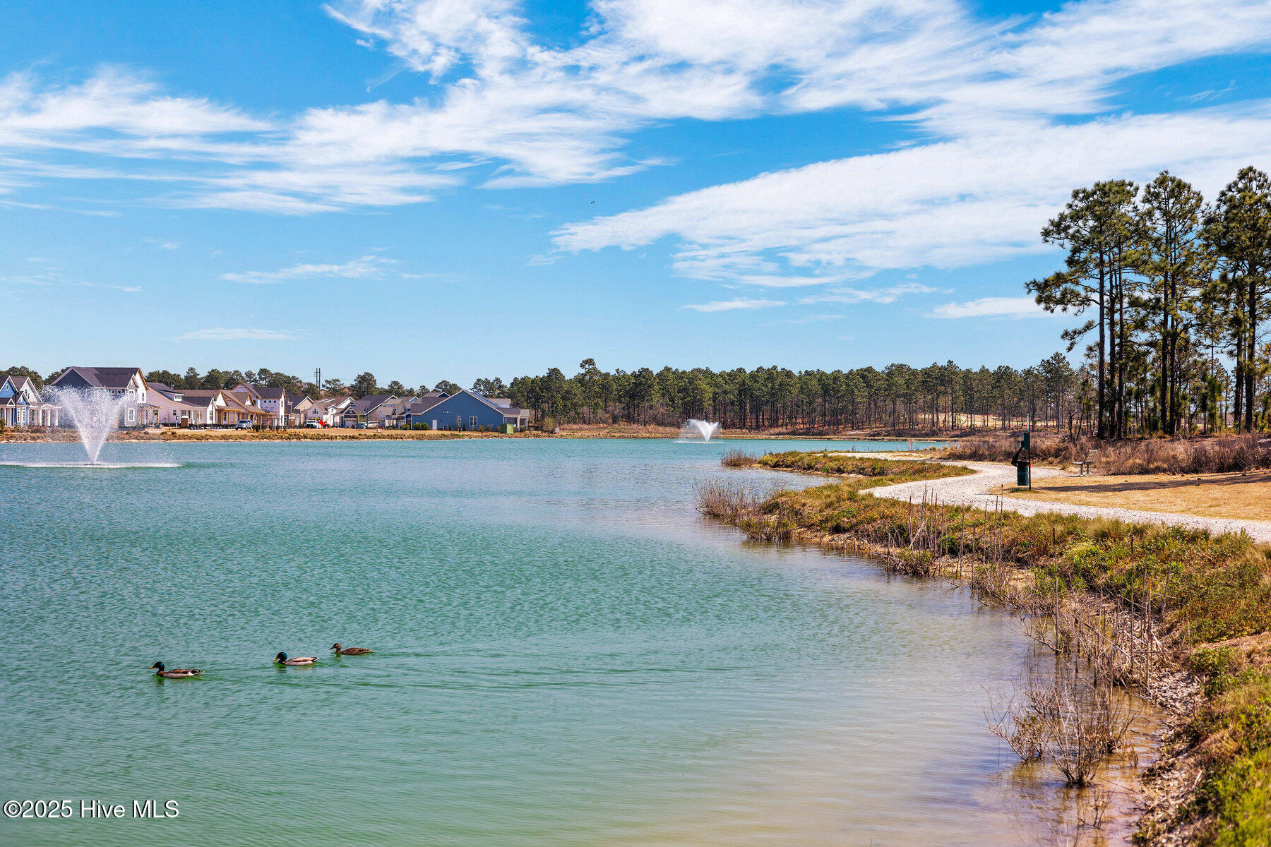 100538755 | Photo 74