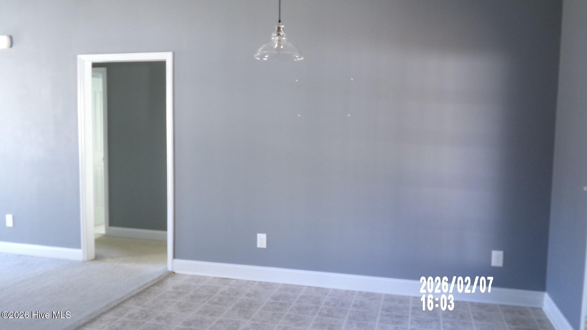 100559410 | Photo 10