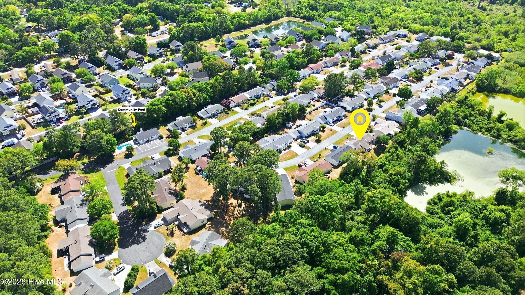 100567371 | Photo 59