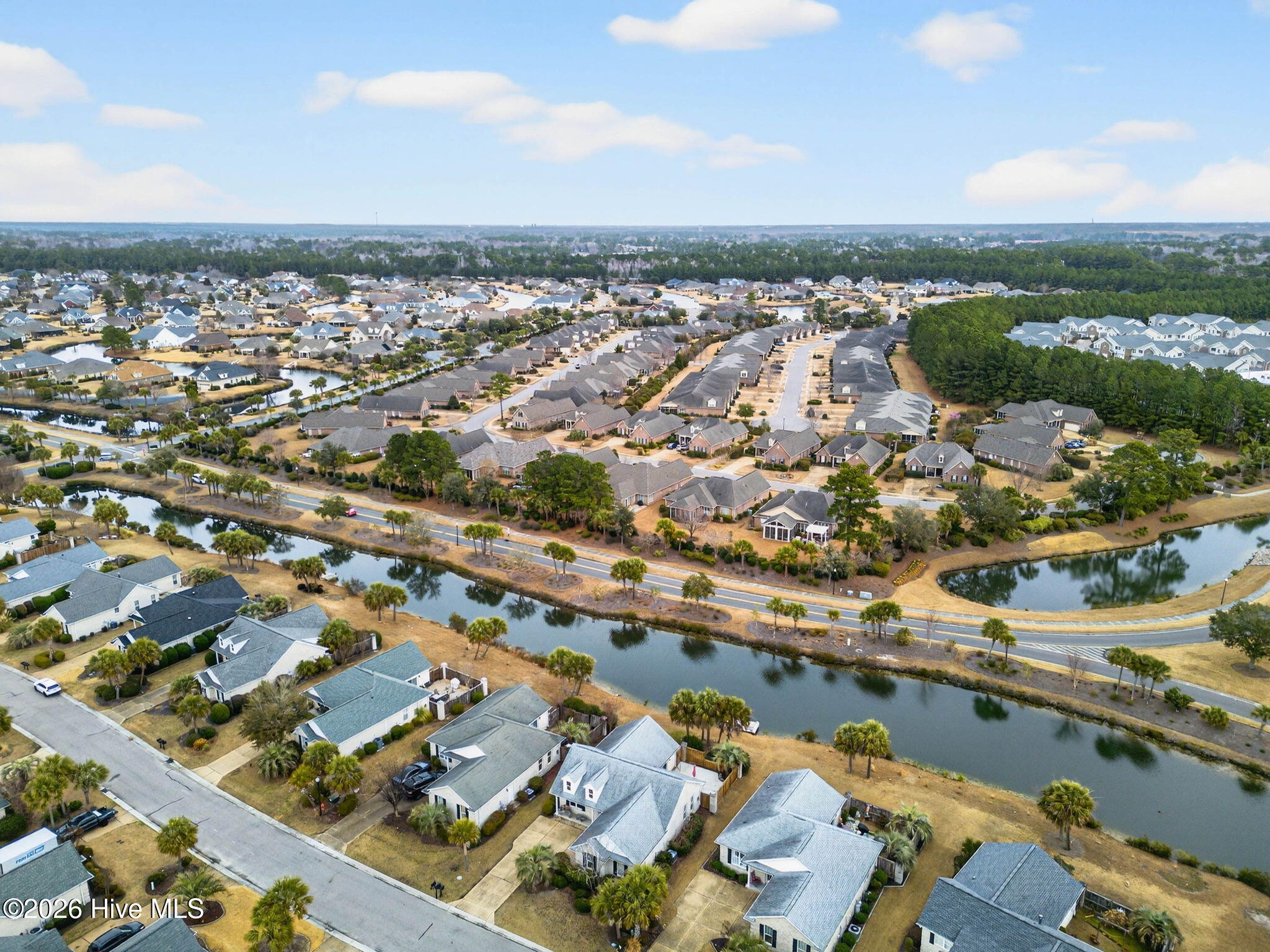 100556001 | Photo 41