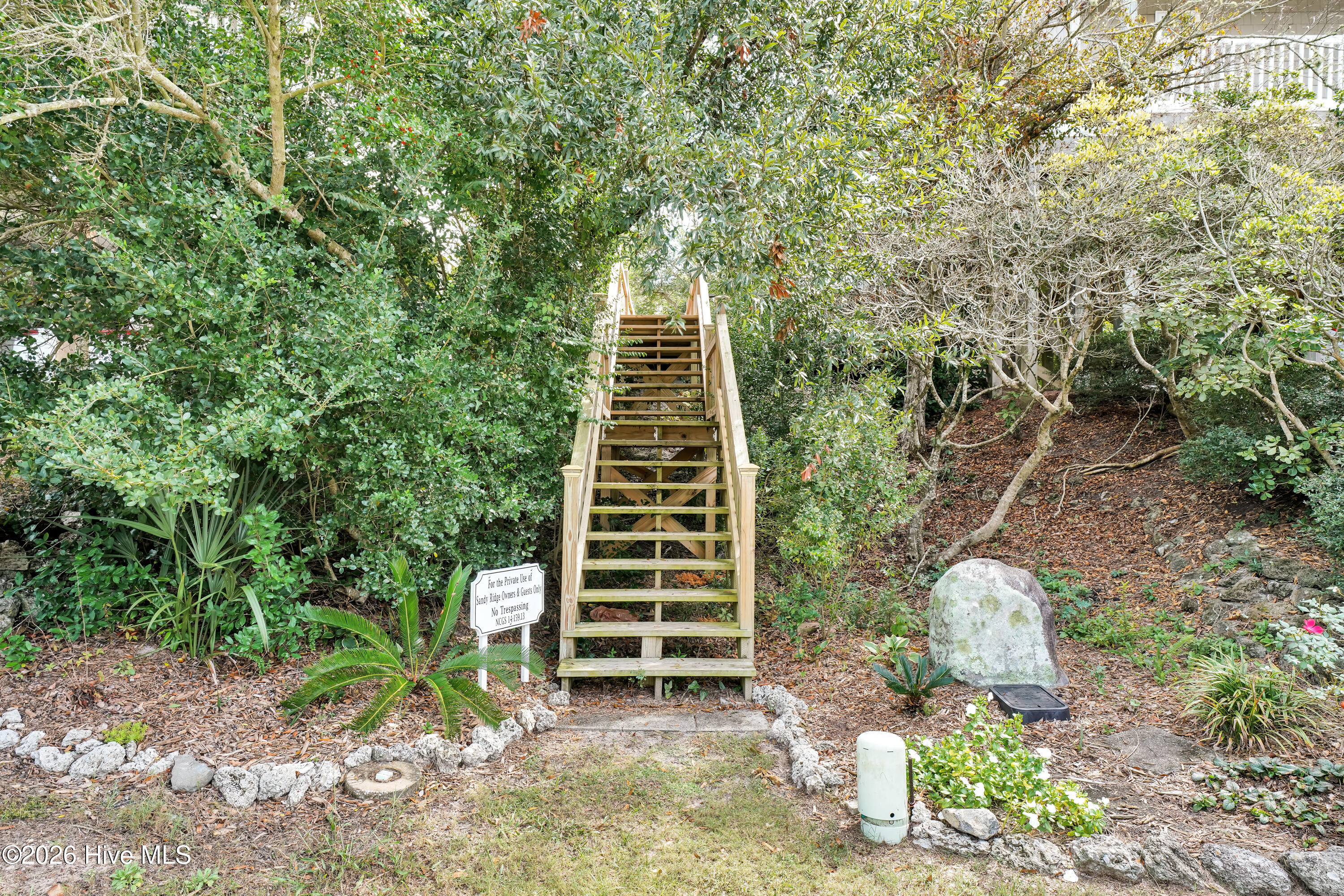 100564861 | Photo 54