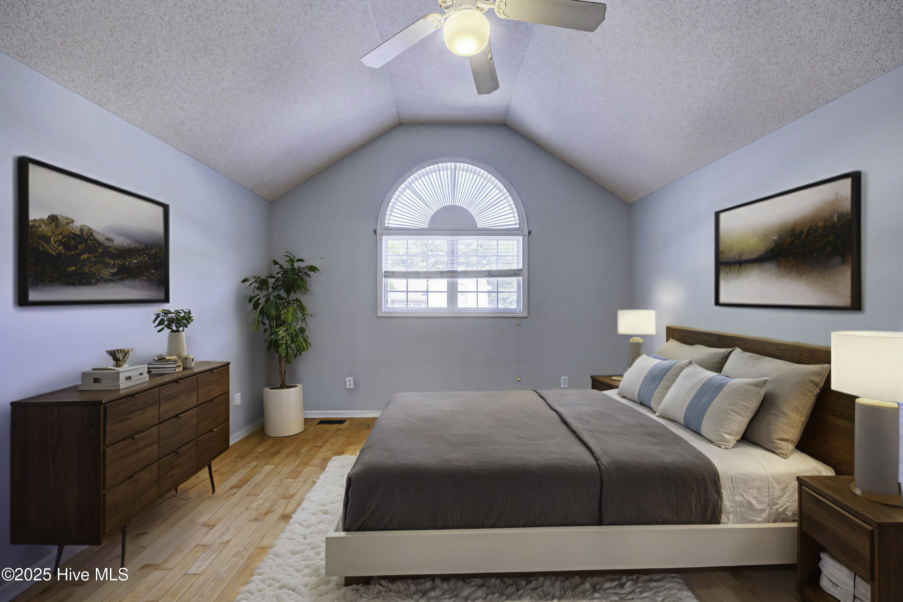 100531584 | Photo 29