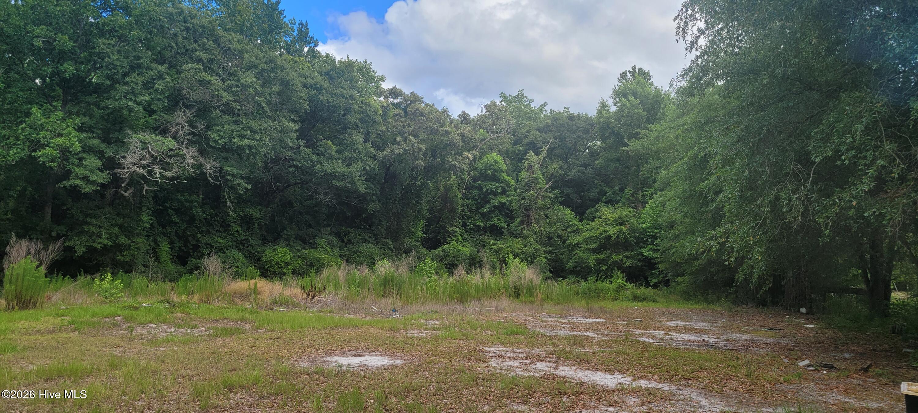 Exterior photo of 28379 Nc Hwy 210, Currie, NC 28435. MLS: 100583834