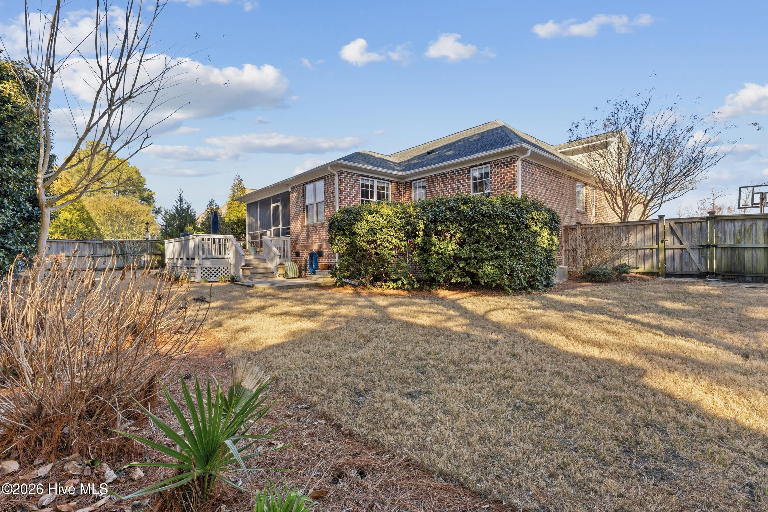 100558582 | Photo 43