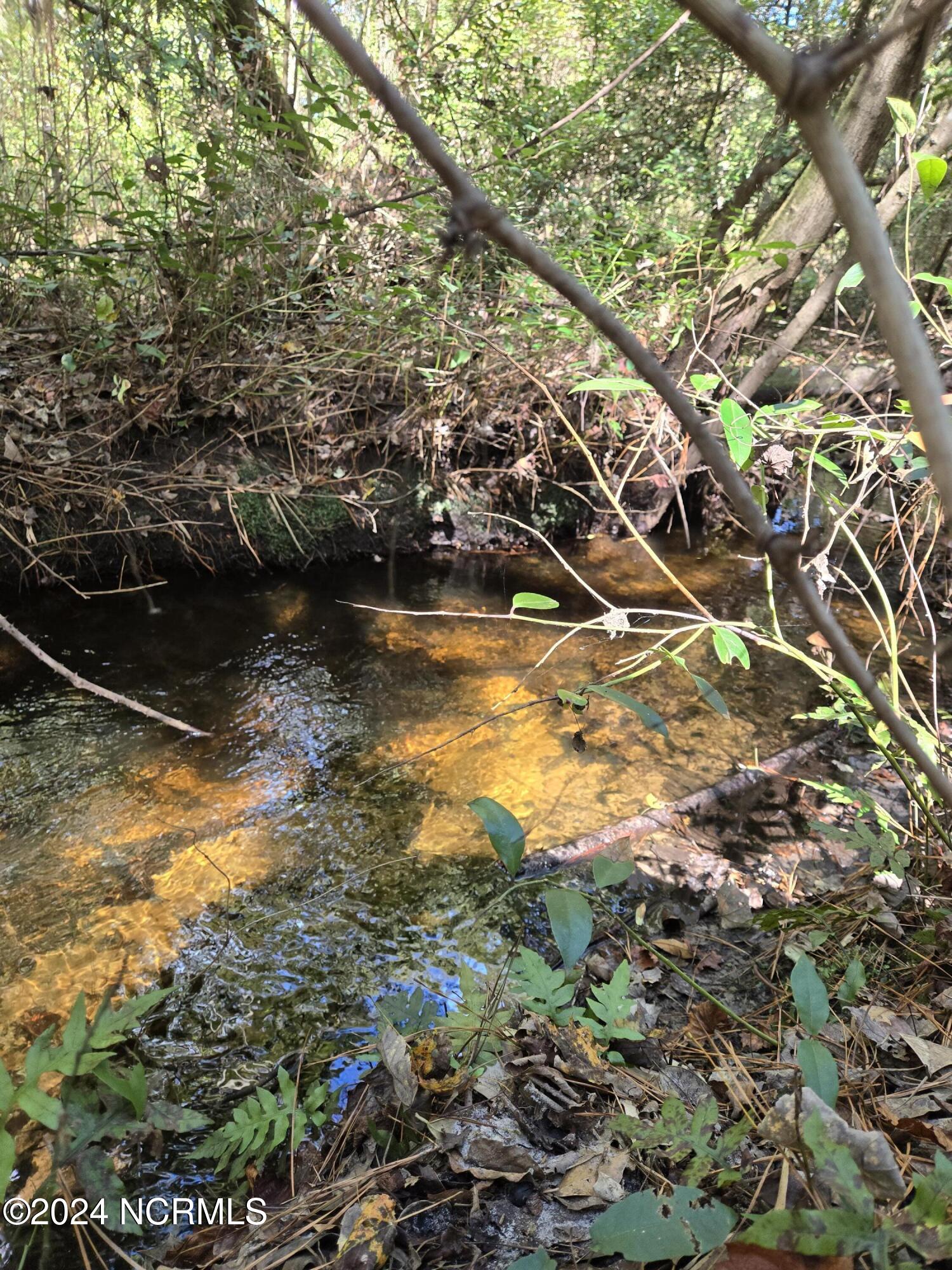 100471654 | Photo 12