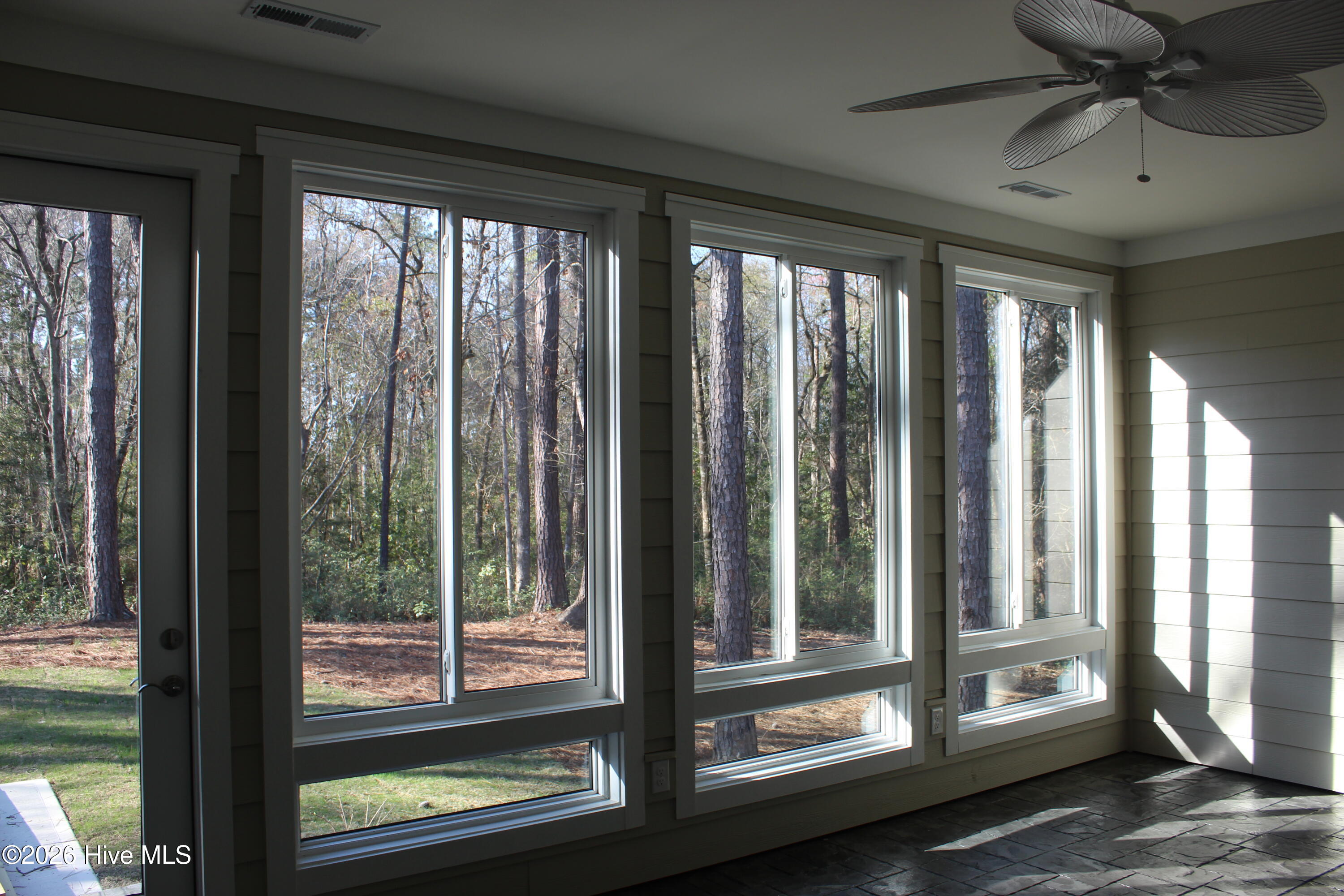 100536128 | Photo 20