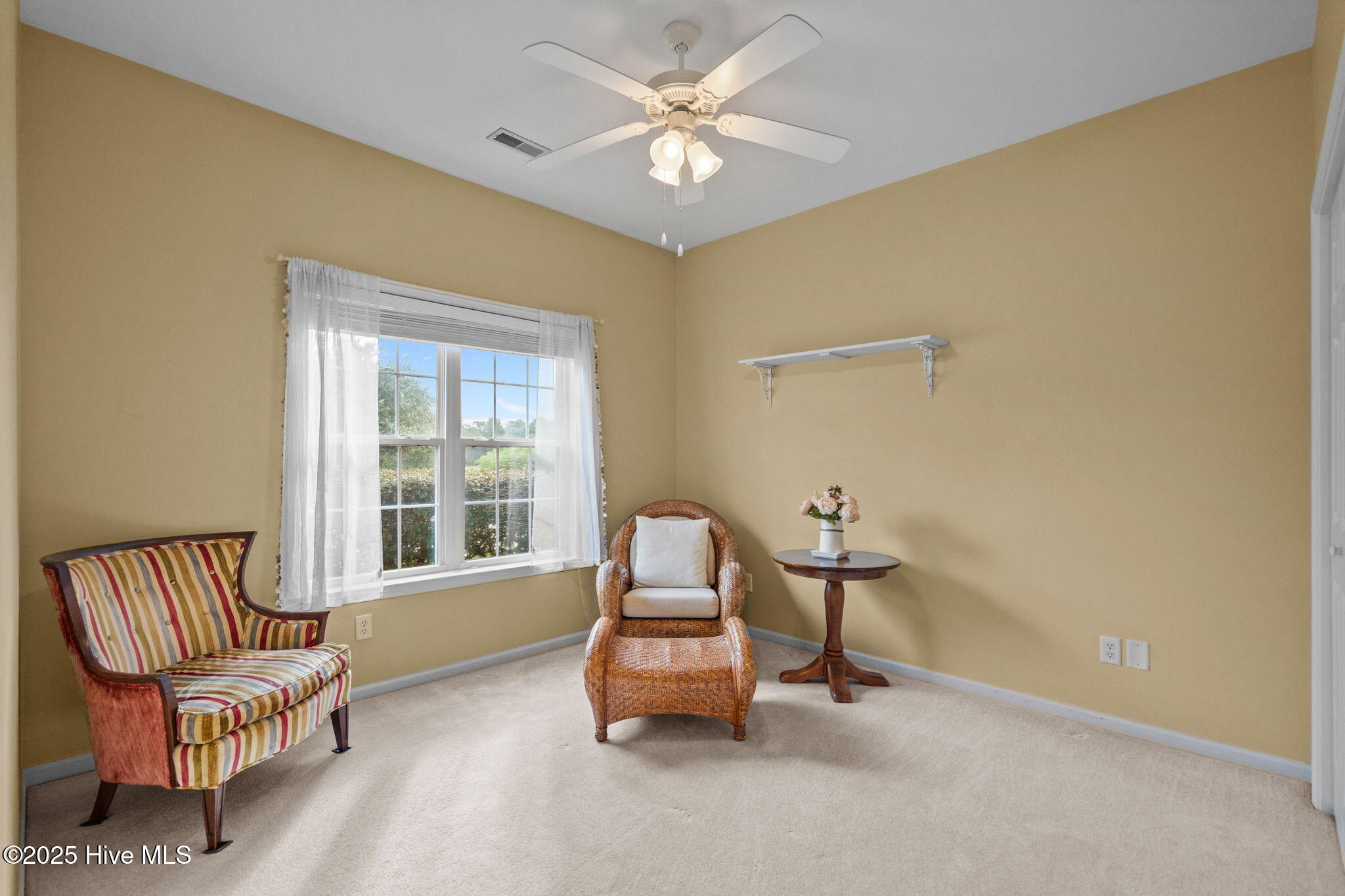 100528475 | Photo 29