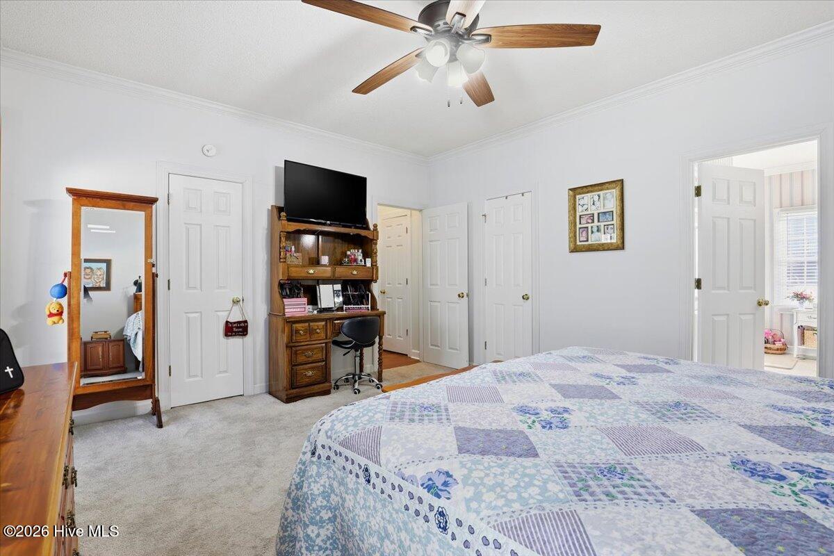 100550668 | Photo 18