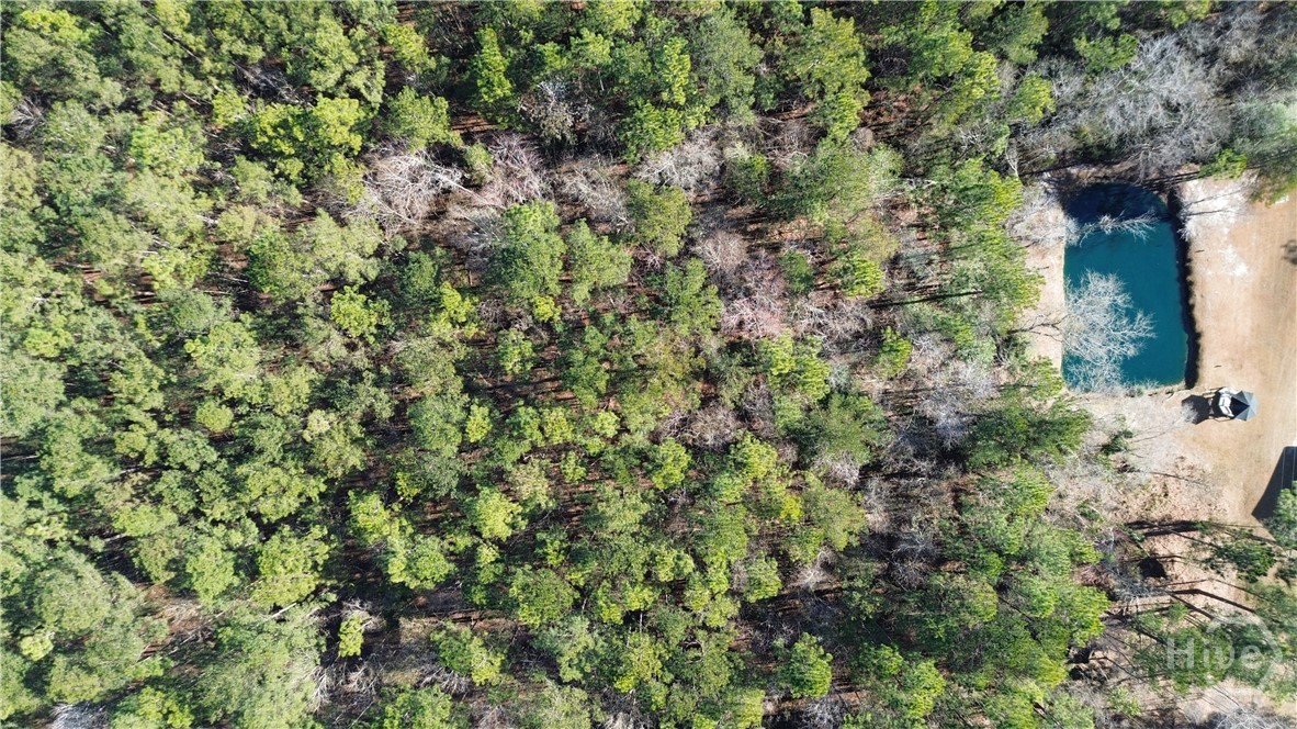 Homes for sale in Springfield, GA | 0 Hwy 21 N, Springfield, GA 31329 | MLS# SA349590