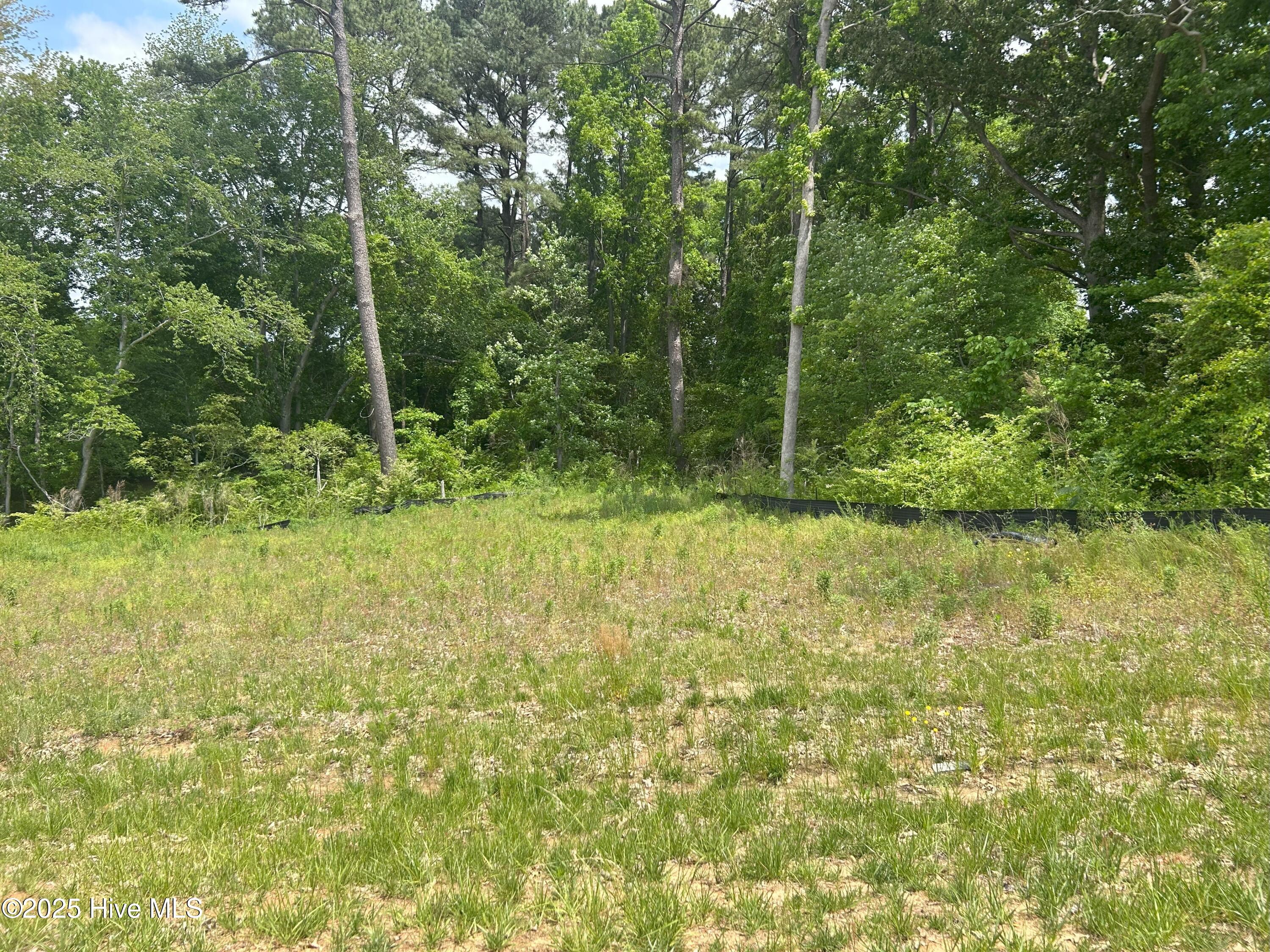 Homes for sale in Nashville, NC | 1635 Pecan Dr #Lot 26, Nashville, NC 27856 | MLS# 100505231