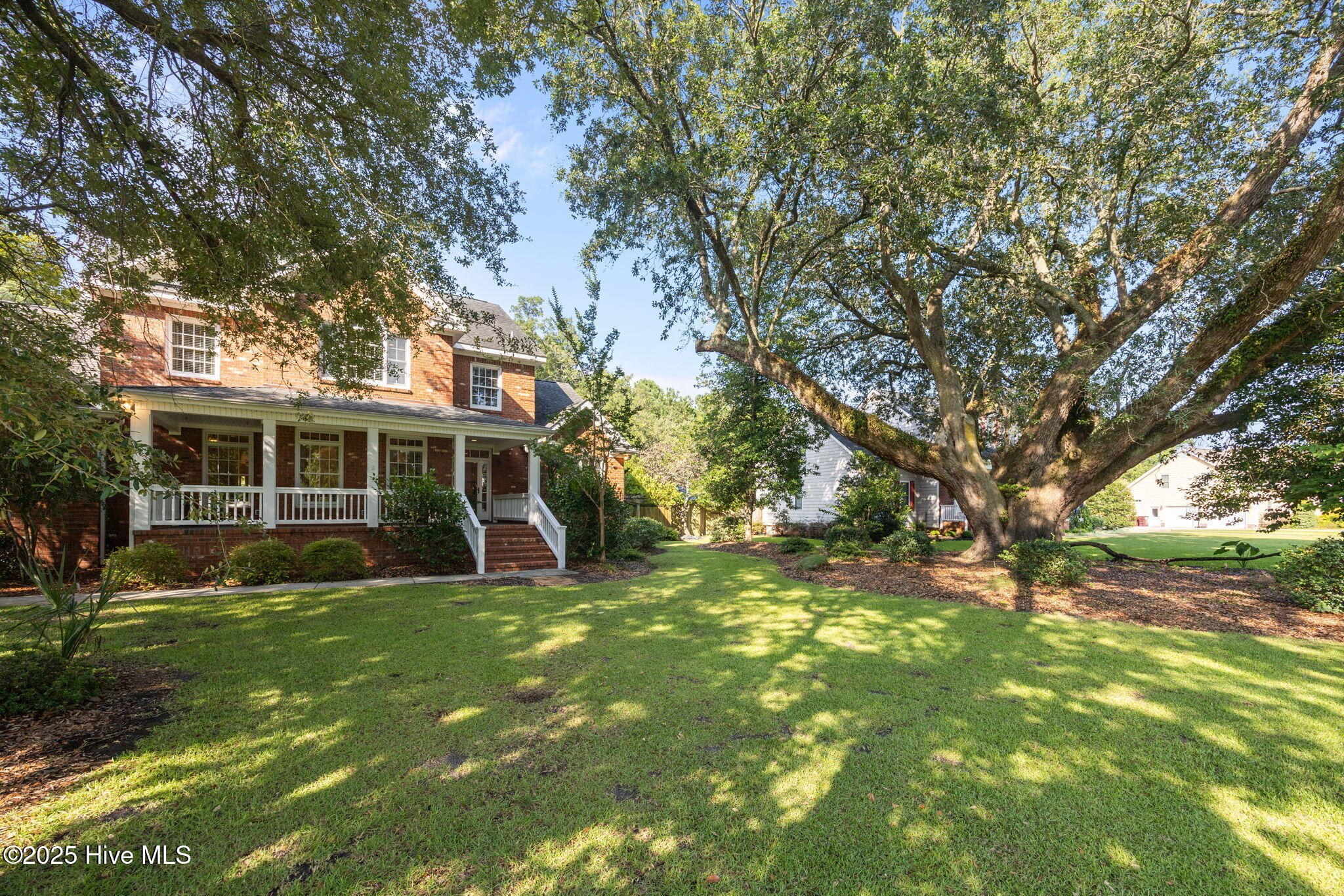 100518834 | Photo 65