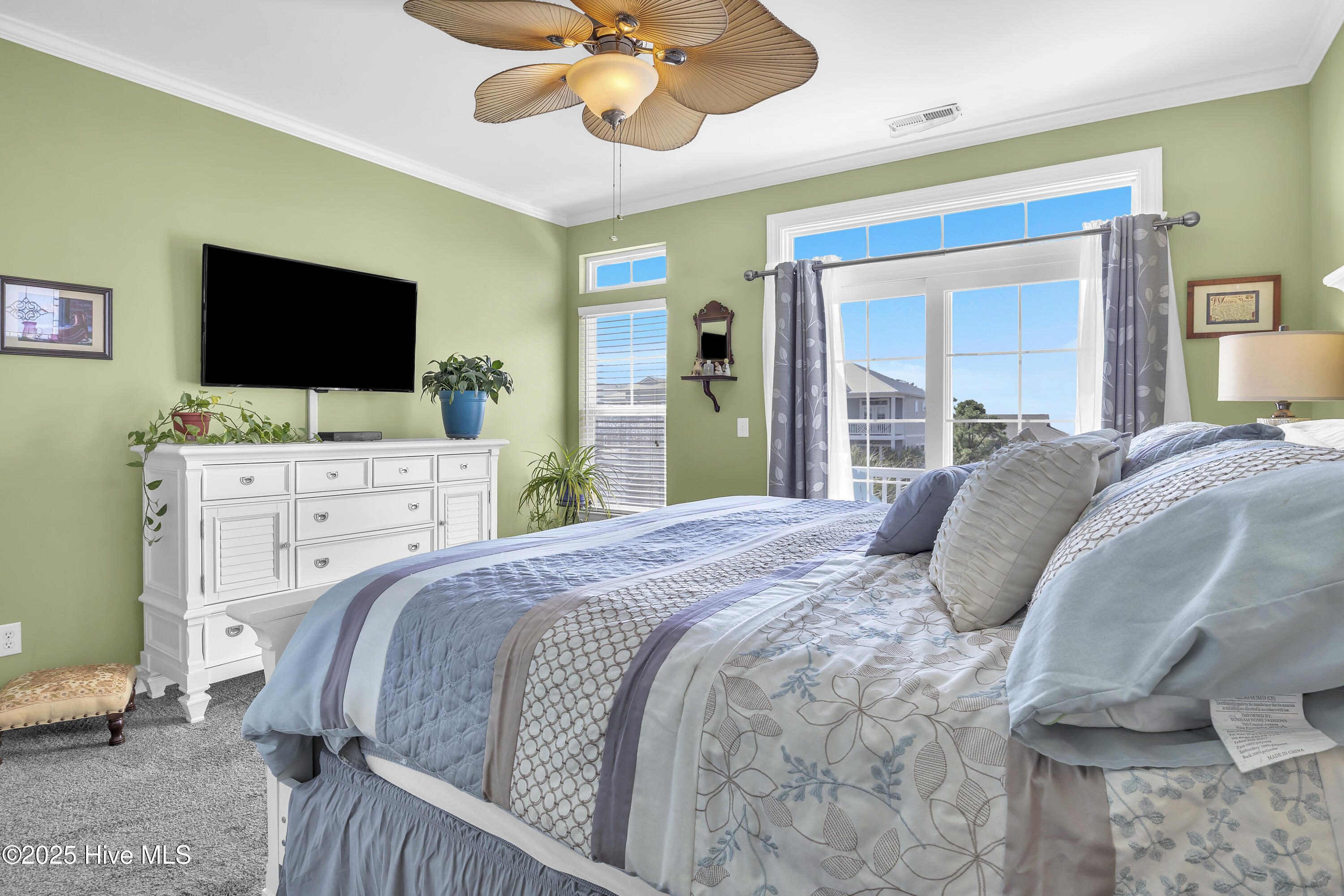 100529504 | Photo 23