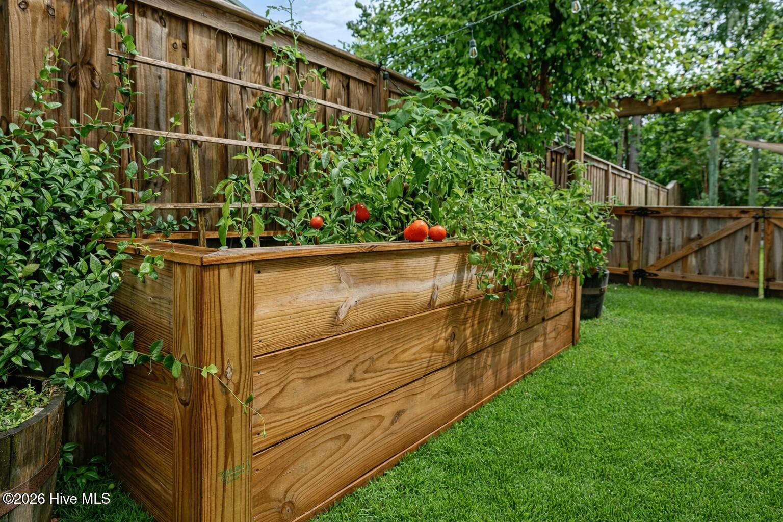 100565702 | Photo 39