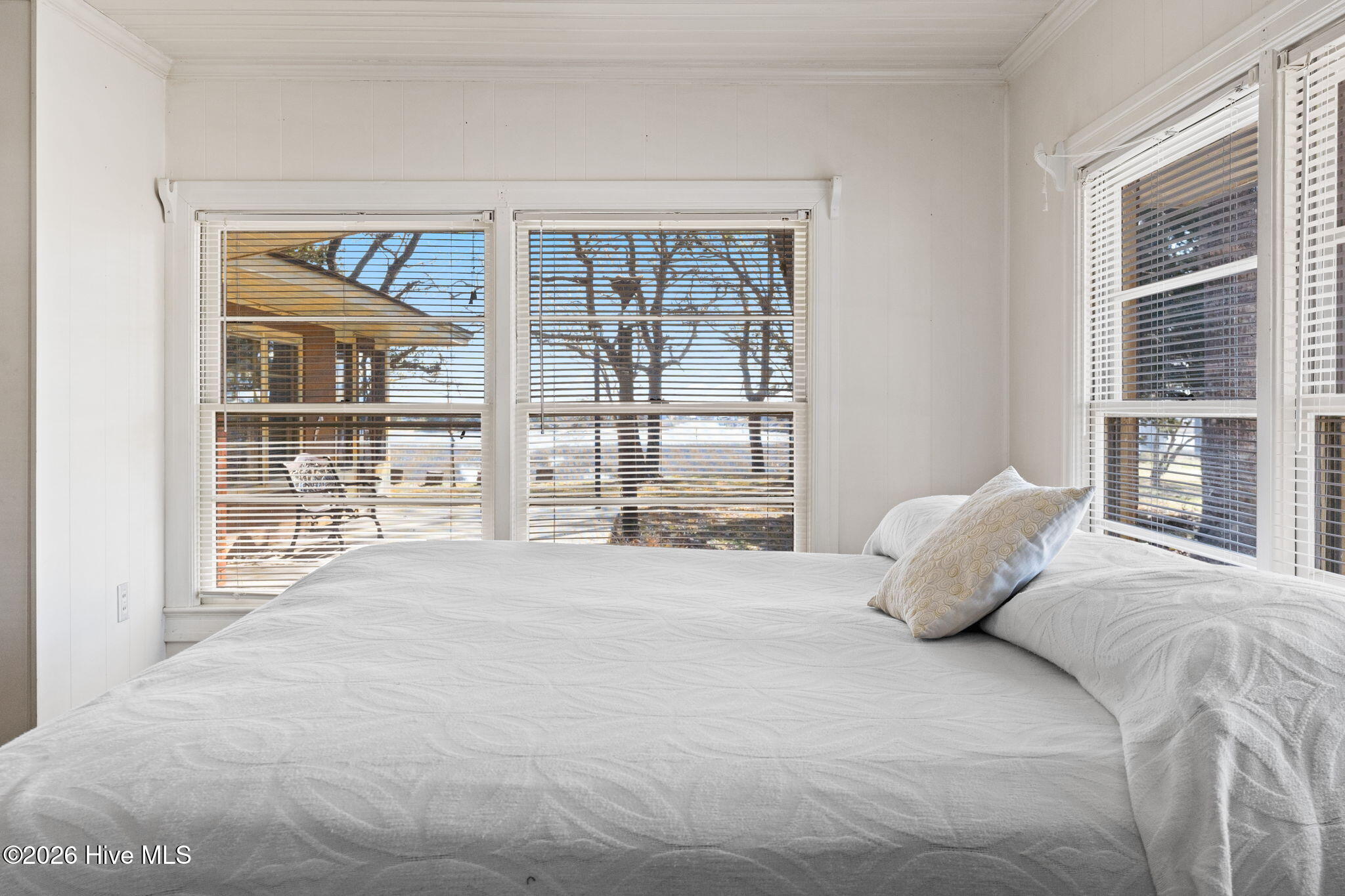 100561810 | Photo 47