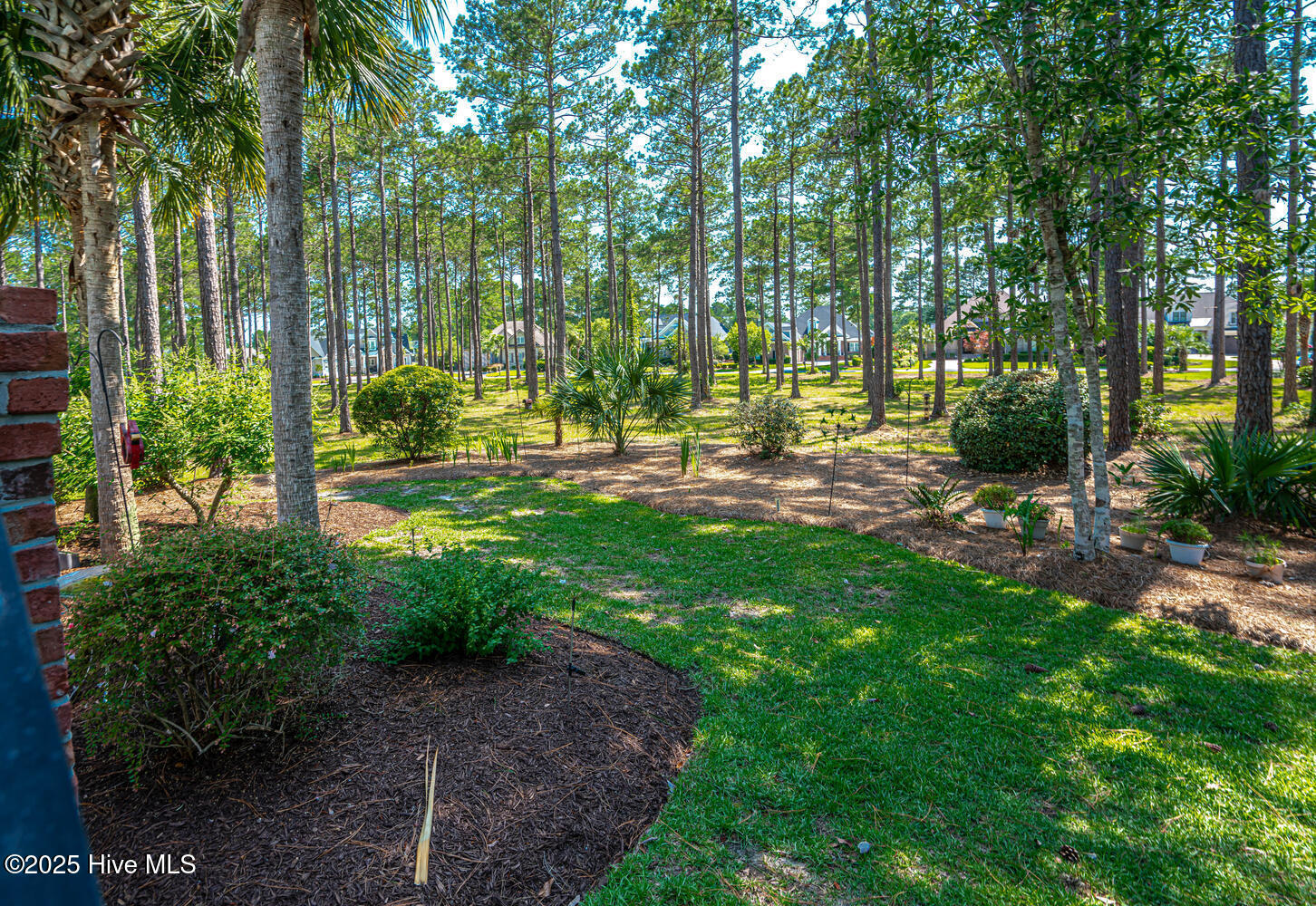 100554375 | Photo 50