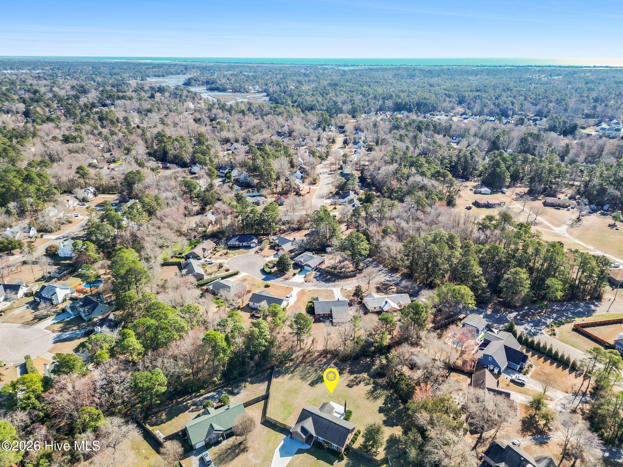 100556381 | Photo 64