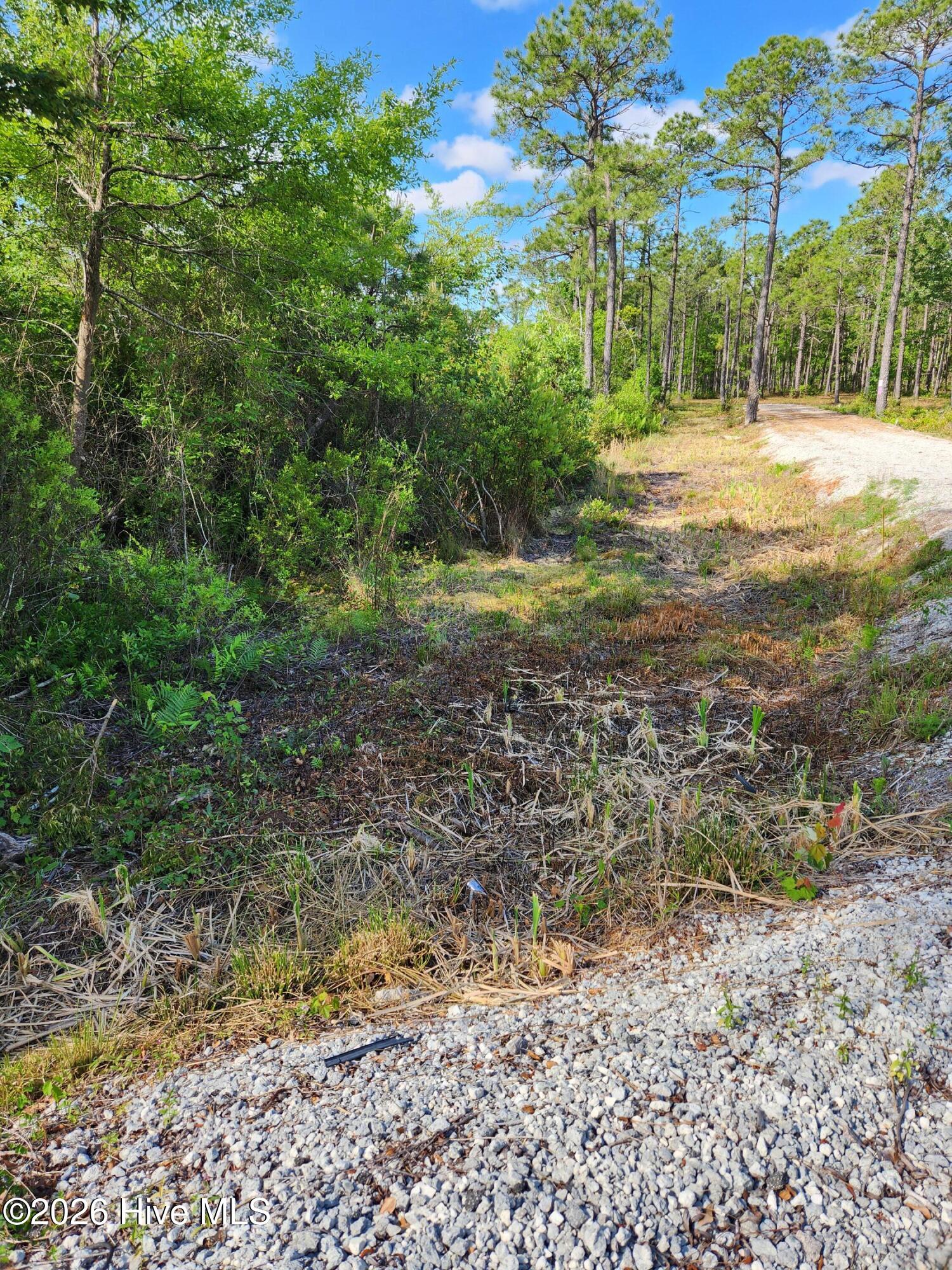 Shirley Johnson - MLS Number: 100479507