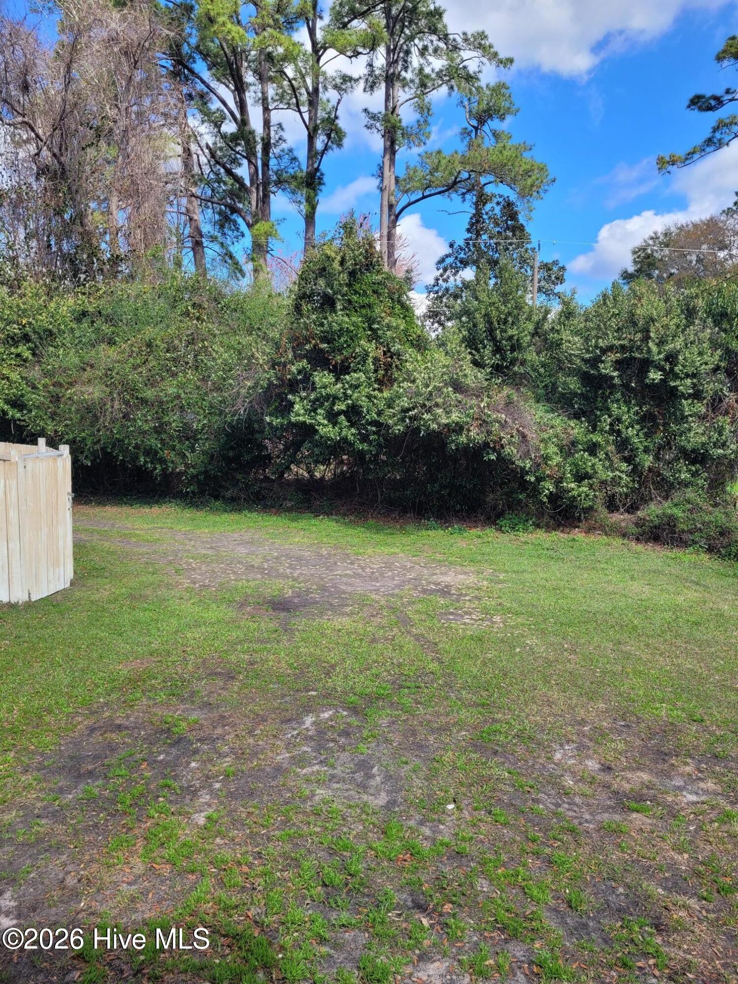 100559757 | Photo 10