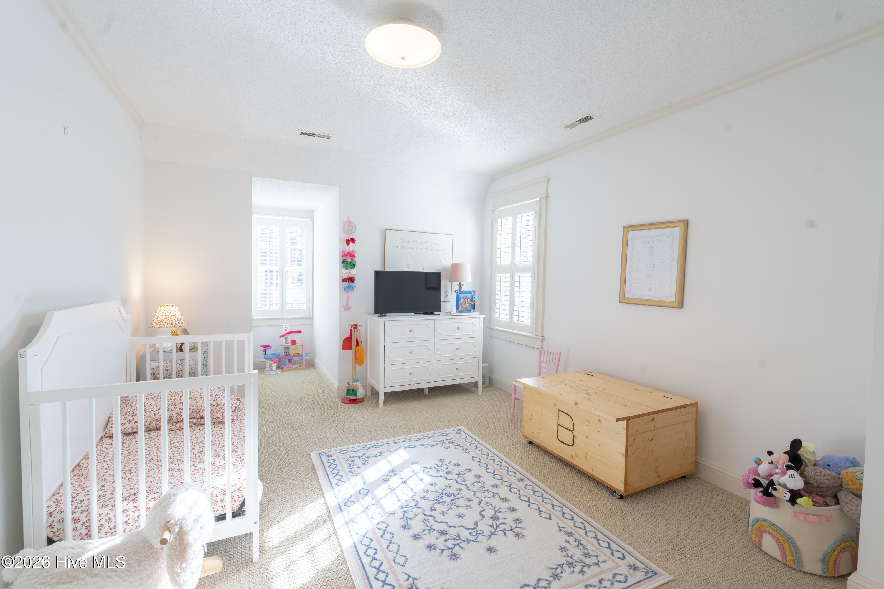 228 Old Colony Way, Rocky Mount, NC, 27804