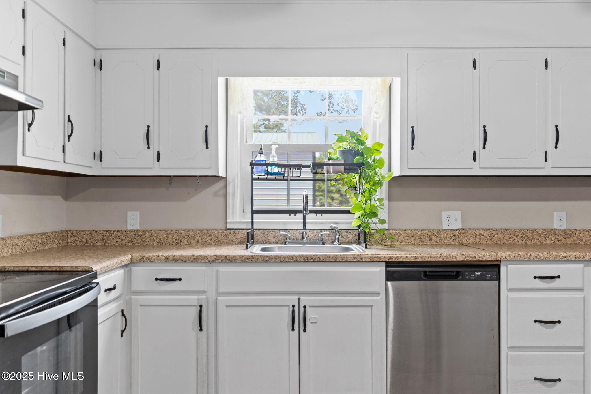 100527355 | Photo 21