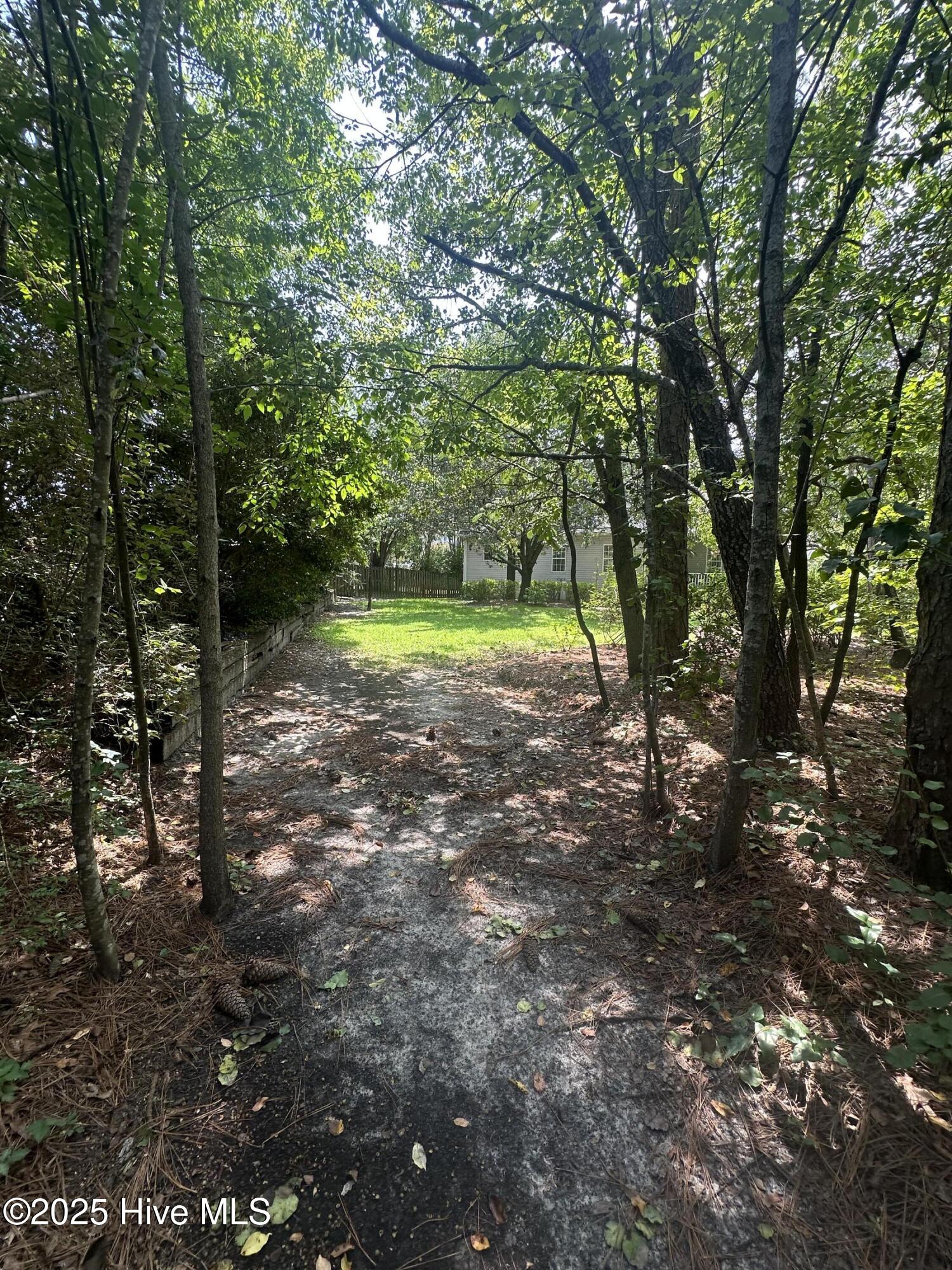 100526280 | Photo 45