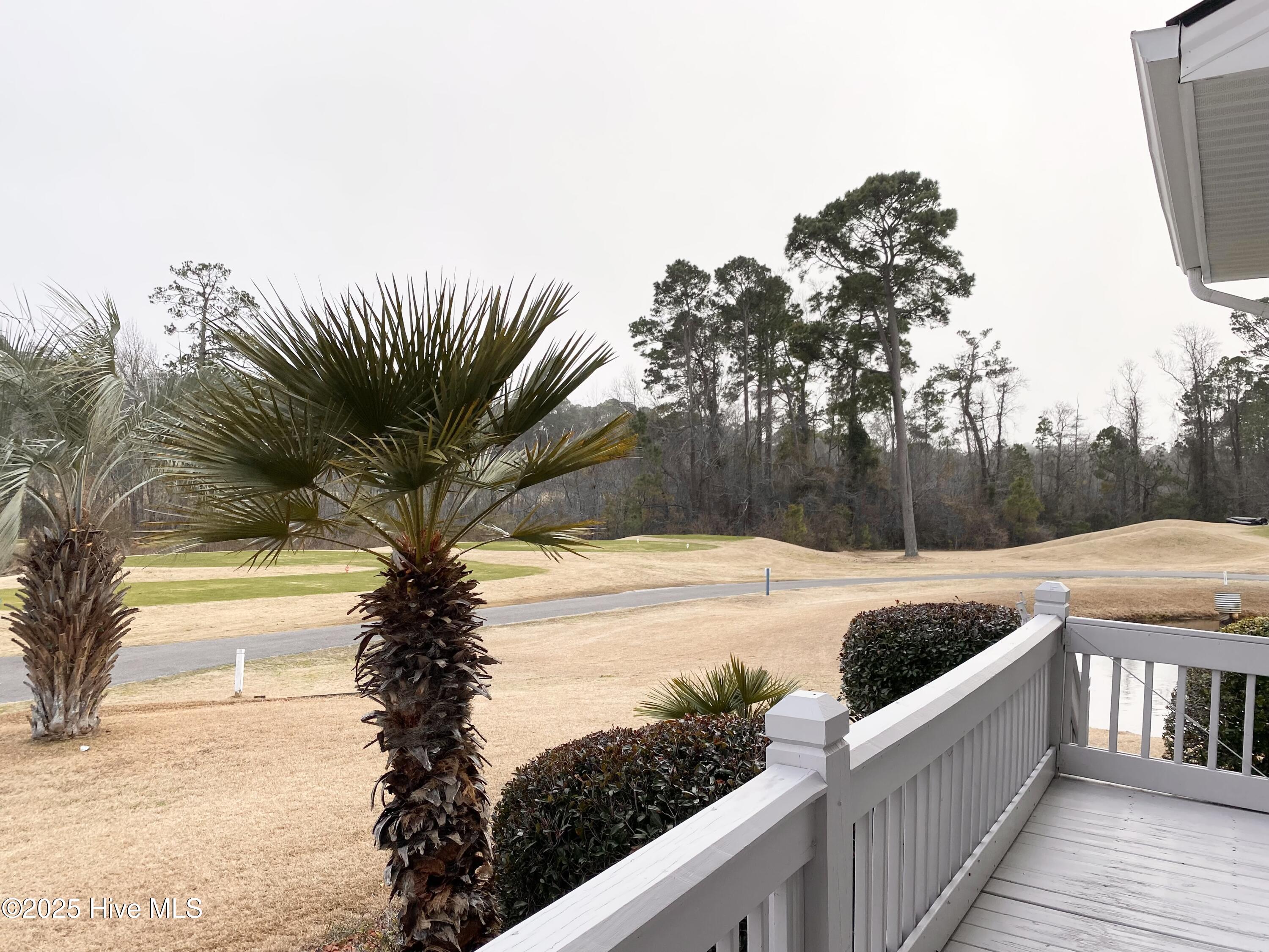 100552494 | Photo 62