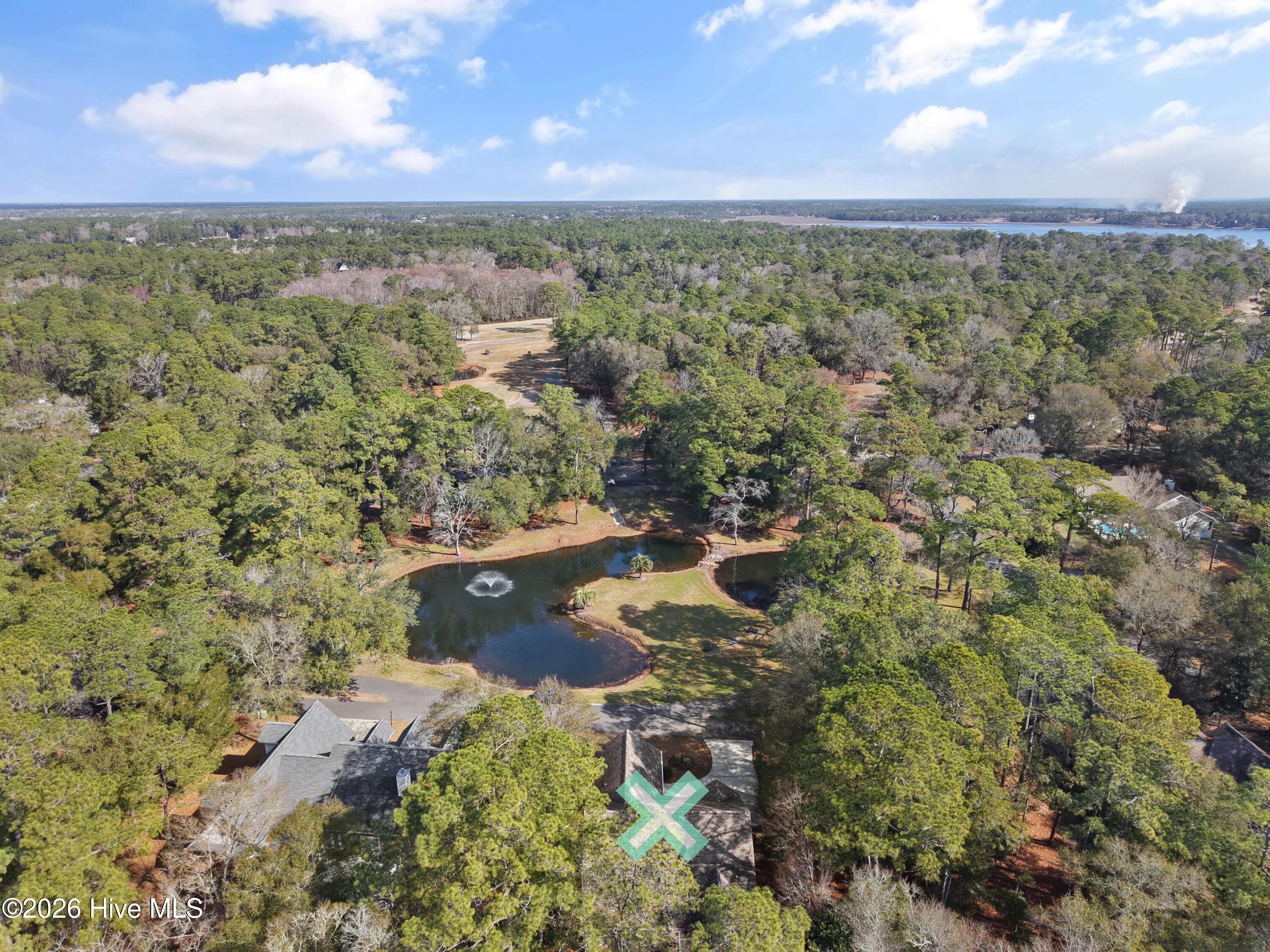 100558651 | Photo 48