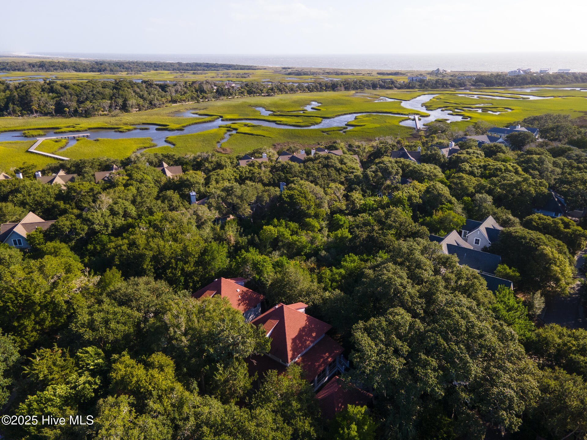 100534470 | Photo 36