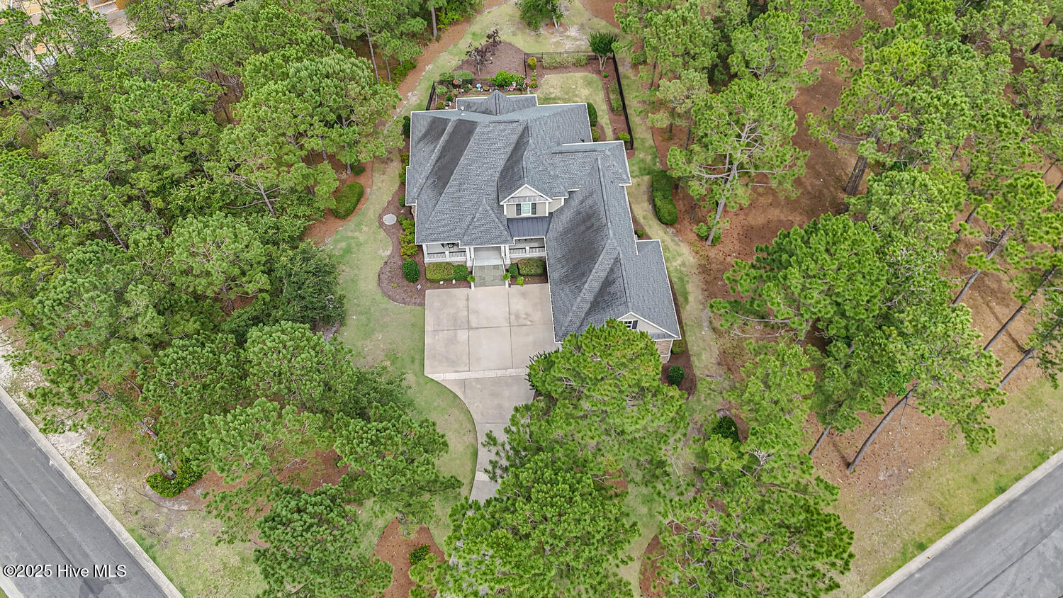 100566478 | Photo 64